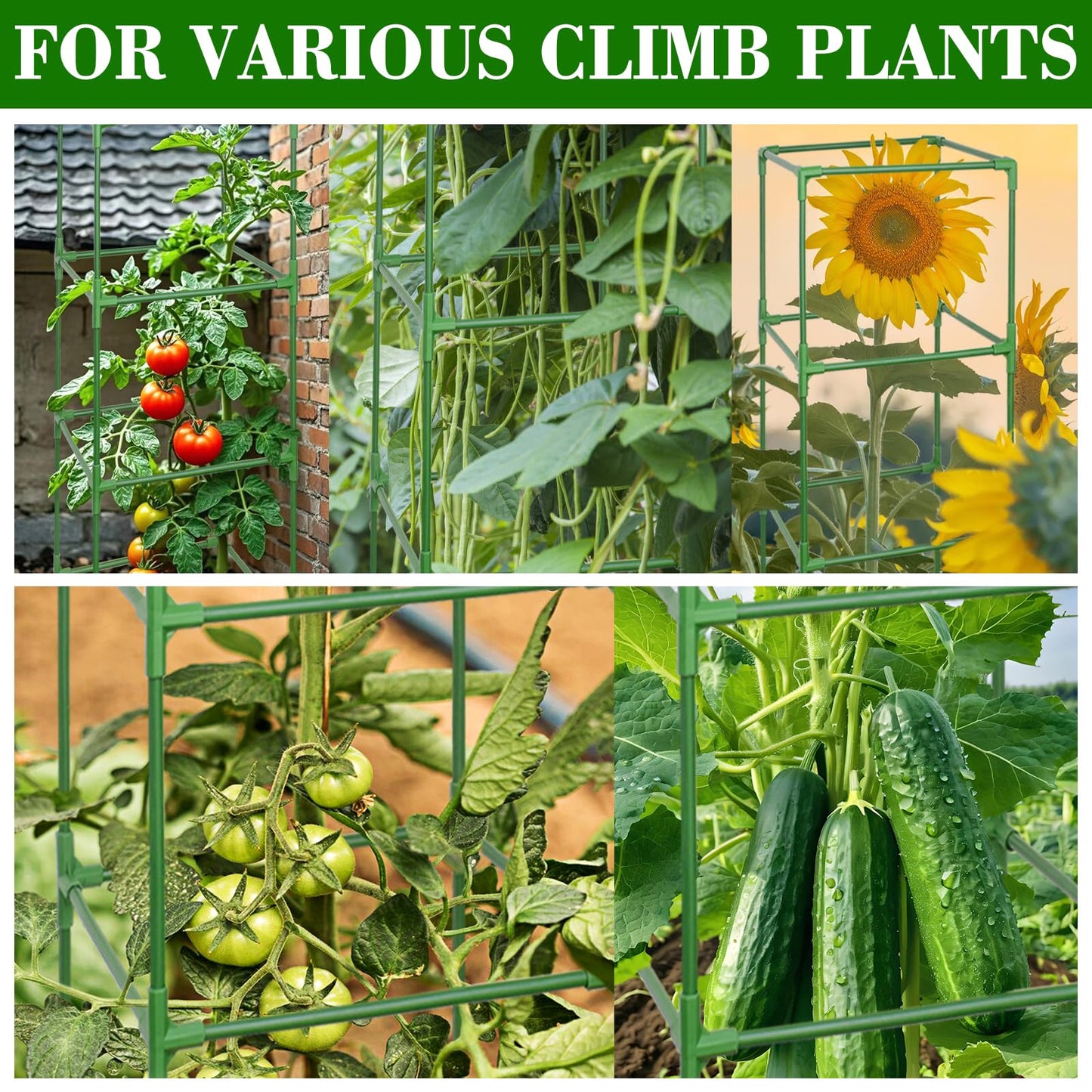 ZeeDix 2 Pack Heavy Duty Tomato Cages for Garden 60 Inches, Square Adjustable Tomato Trellis Cage Climbing Plant Support Trellis Plant Cages for Climbing Vegetables Flowers with 20Pcs Clips