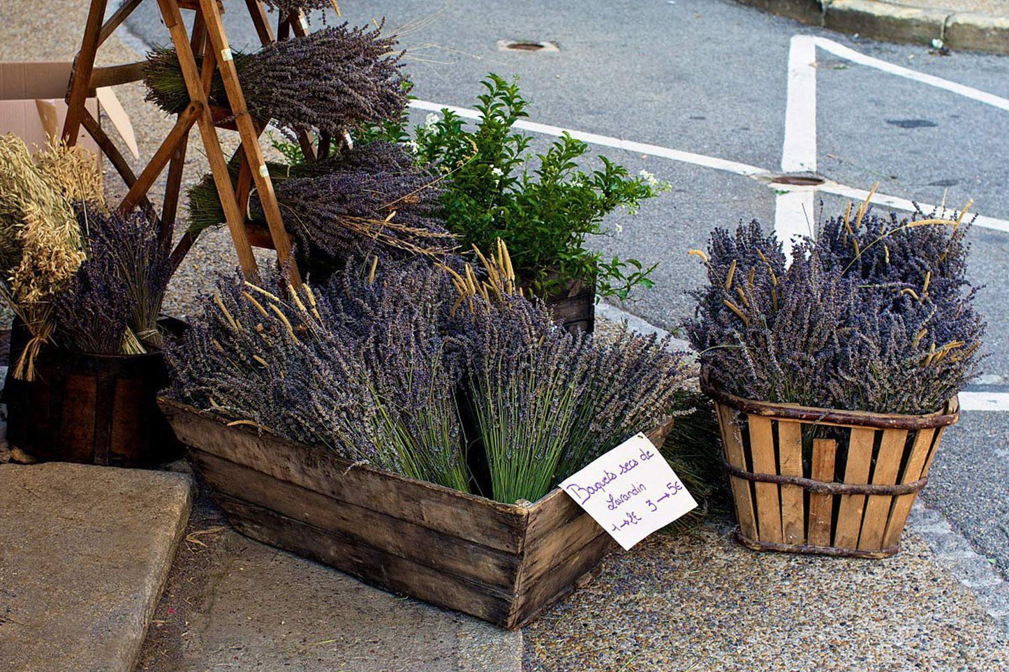 TooGet Natural Lavender Bundles, Freshly Harvested 400+ Stems Dried Lavender Bunch 16" - 18" Long, Decorative Flowers Bouquet for Home Decor, Crafts, Gift, Wedding or Any Occasion