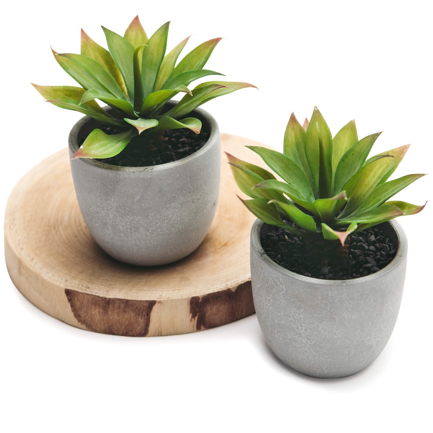 Kurrajong Farmhouse Artificial Plants Indoor | Set of 2 Fake Plants for Desk Decor | Artificial Succulents in pots | Fake Succulents| Faux Plants Indoor | Faux Agave for Shelf Decor
