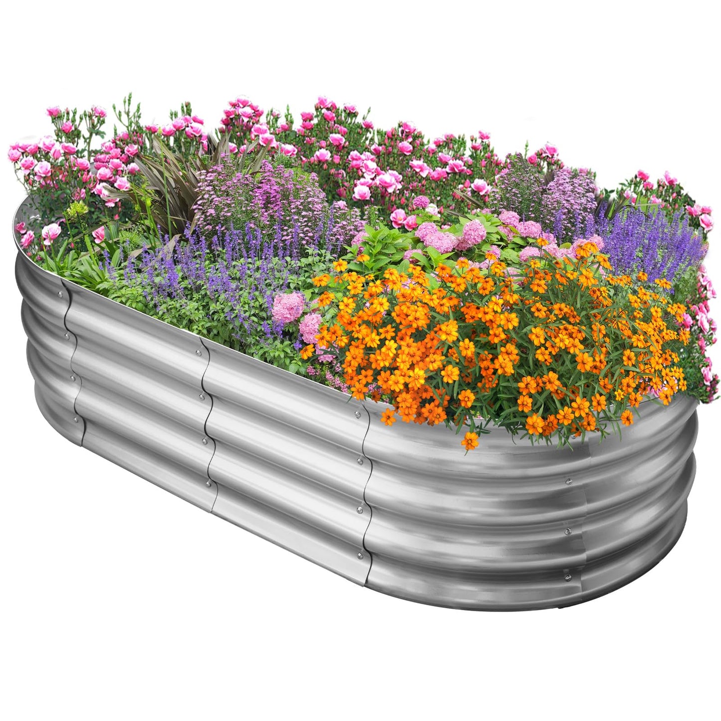 Eclaron Galvanized Raised Garden Bed for Outdoor: 4X2X1ft Durable Metal Vegetable Plant Container Kit - Oval Planter Box for Gardening Flower Trough