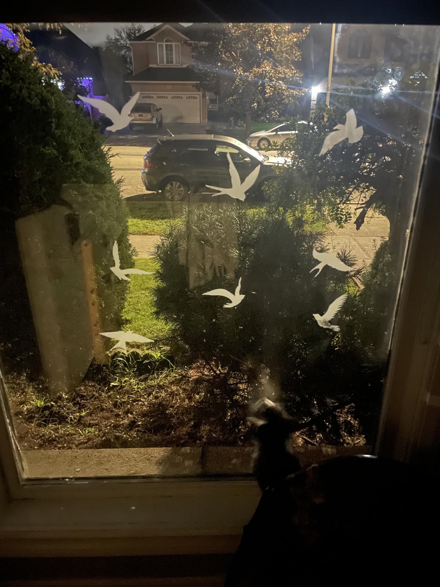 Frosted Anti-Collision Window Bird Stickers – Bird Strike Prevention Decals for Glass Doors & Windows, Clear Frosted Stickers to Protect and Save Birds from Flying into Glass AG-1972