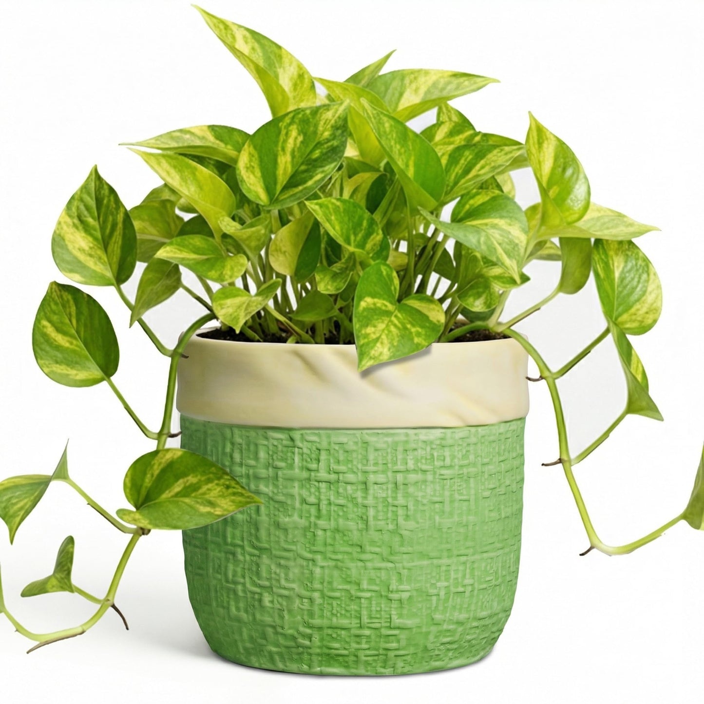 Teagas Ceramic Plant Pots - 6 Inch Plant Pot with Drainage Hole, Boho Planters for Indoor Succulent Plants, Decorative Round Unique Flower Pots, Garden Home Office Decor, Housewarming Gifts, Green