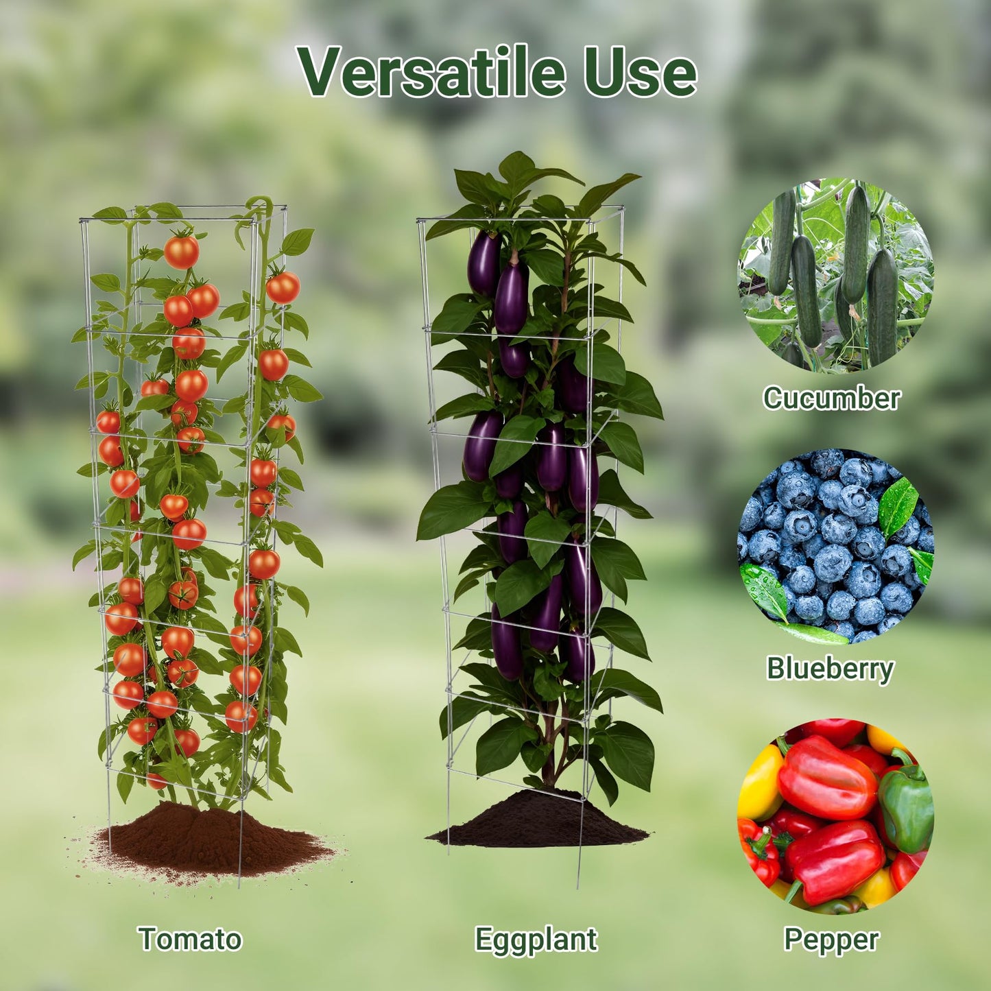 Toriexon Metal Foldable Tomato Cages 13" x 56", Square Tomato Cages Plant Support for Vegetable Garden, Heavy Duty Tall Tomato Cages for Beans, Tomatos, Cucumbers - 5 Pack