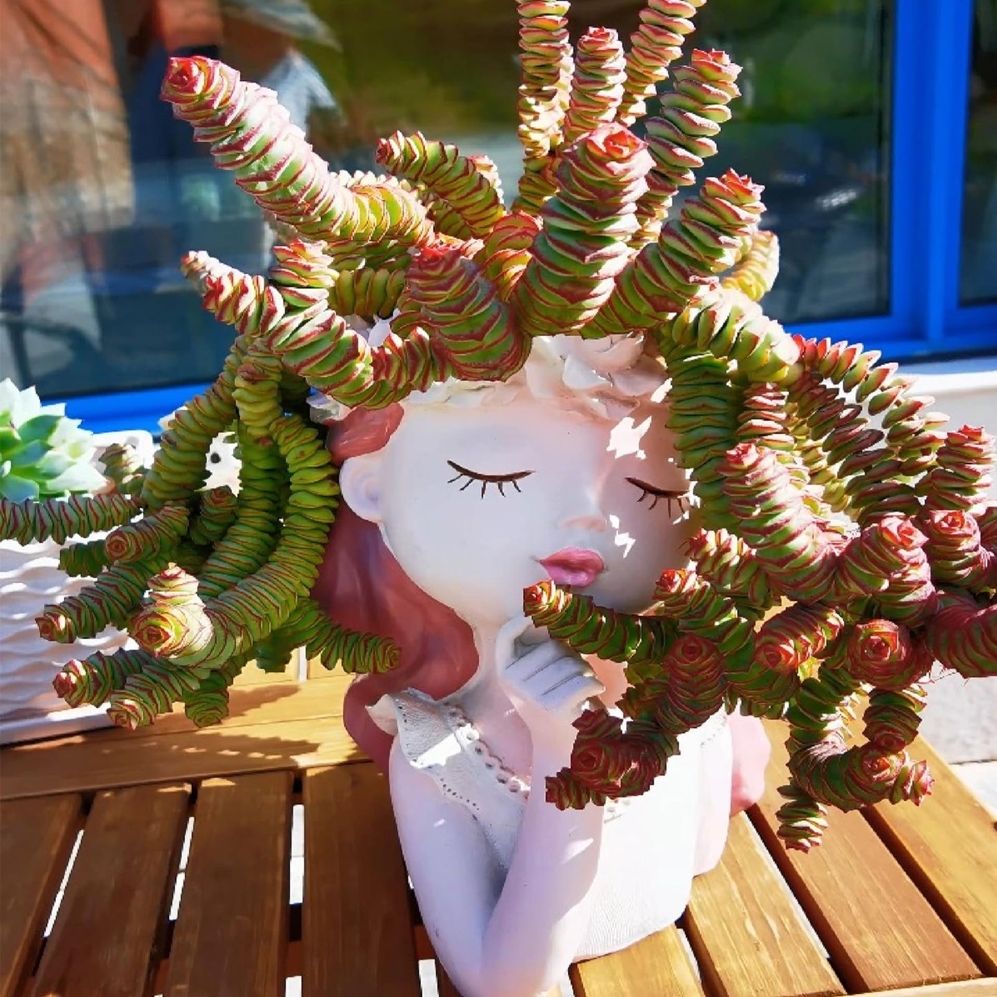 Sprout N Green 4" String of Buttons in White Stripe Pot, Live Crassula 'Baby's Necklace' Trailing Succulent, Rare House Plant for Home Office Wedding Hanging Decoration, DIY Projects, Party Favor