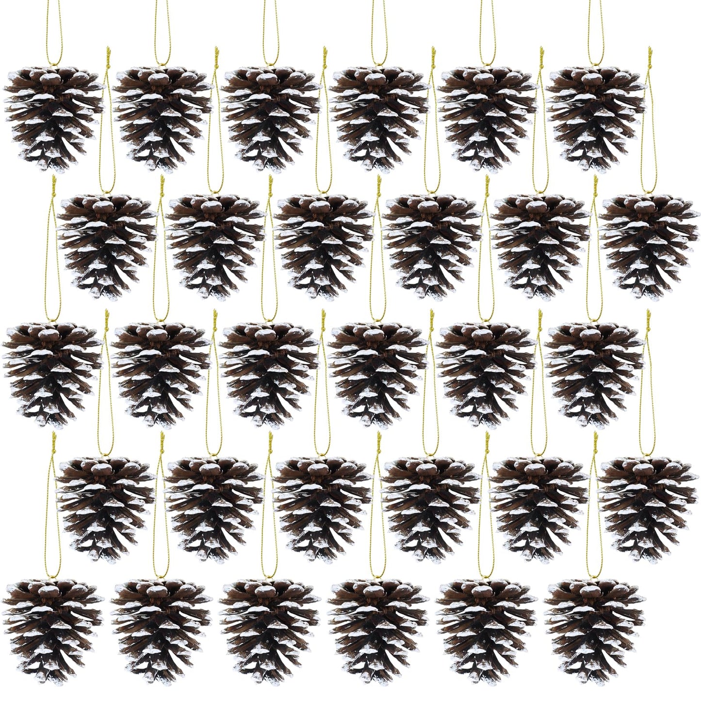 Winlyn 30 Pcs Frosted Pine Cone Ornaments White Natural Pinecone Hanging with String Pine Cones Christmas Tree Decorations for Winter Wedding Seasonal Wreath DIY Crafts Holiday Party Table Centerpiece