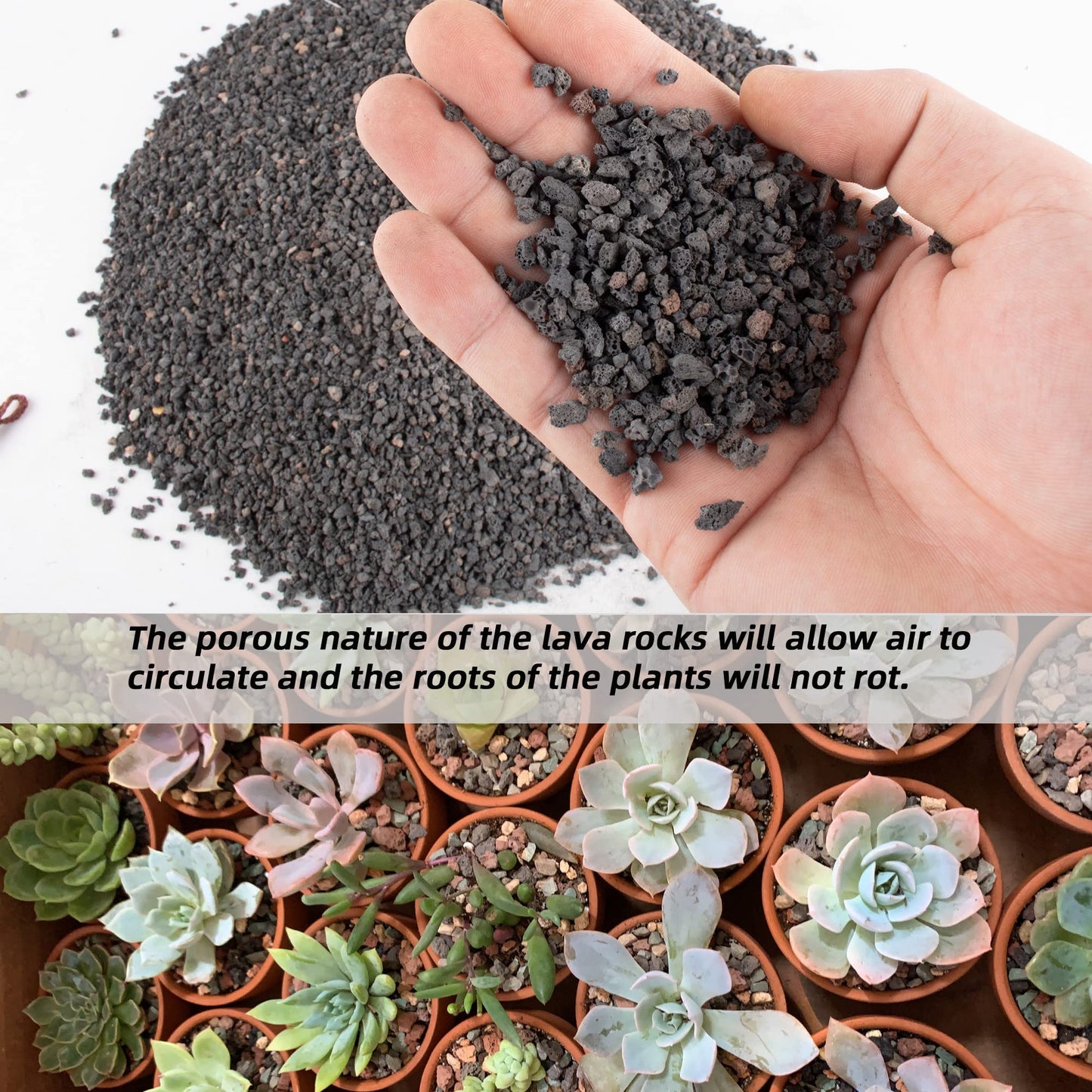 7lb Black Lava Rock for Plant, 1/8-1/4 inch Horticultural Volcanic Rock Soil for Decorative Landscaping Bonsai, Cacti, Succulents Plants Top Dressing for Release Excess Water