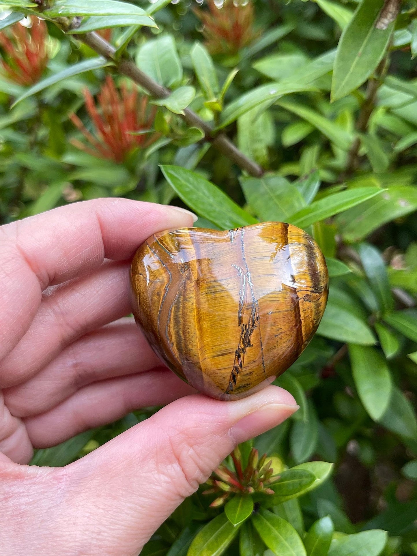 Tiger Eye Gemstone Hearts, Polished Tiger Eye Puffy Hearts, Tiger Eye Crystal Palm Stone, Tiger Eye Healing Crystal Hearts (1 Heart)