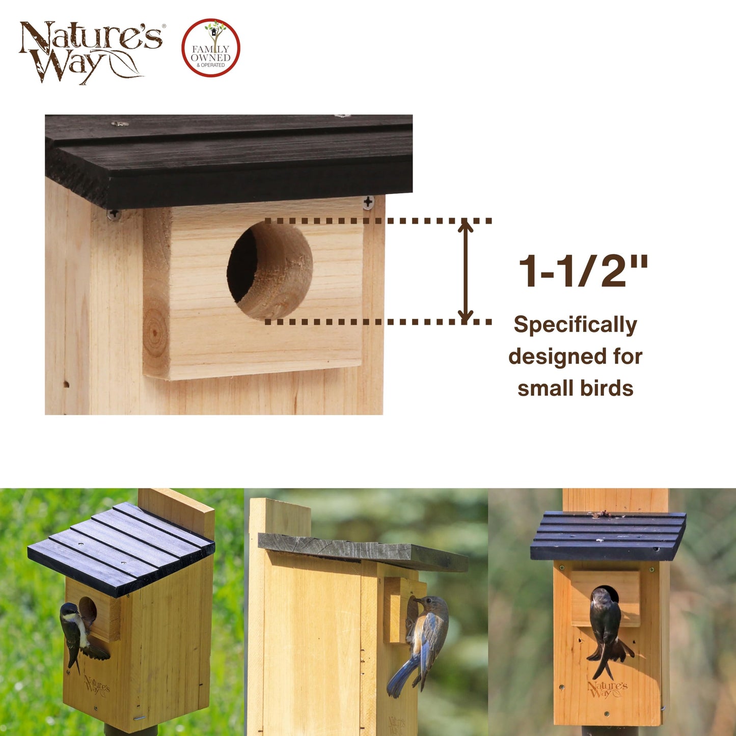 Nature's Way Bird Products CWH4 Cedar Bluebird Viewing House
