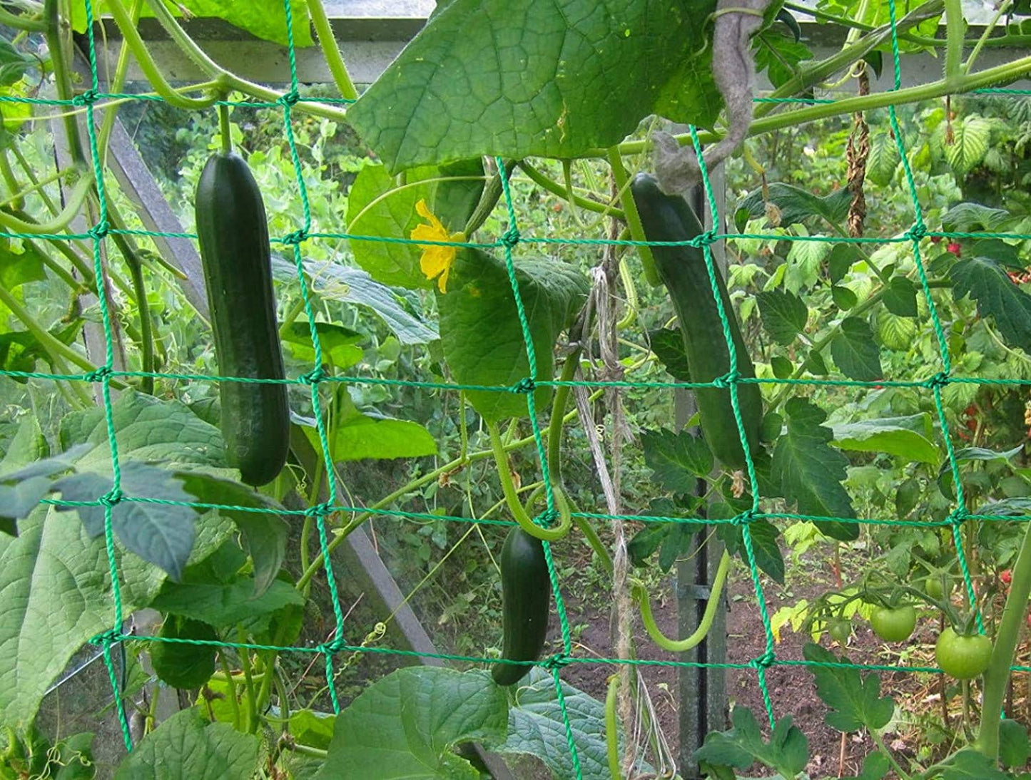Trellis Netting for Climbing Plants - Heavy Duty Garden Trellis Netting for Cucumber, Vine, Fruits & Vegetables Tomato Plants Trellis Net, Climbing Vining Plants (1-Pack 32.8' x 6.6'Ft)