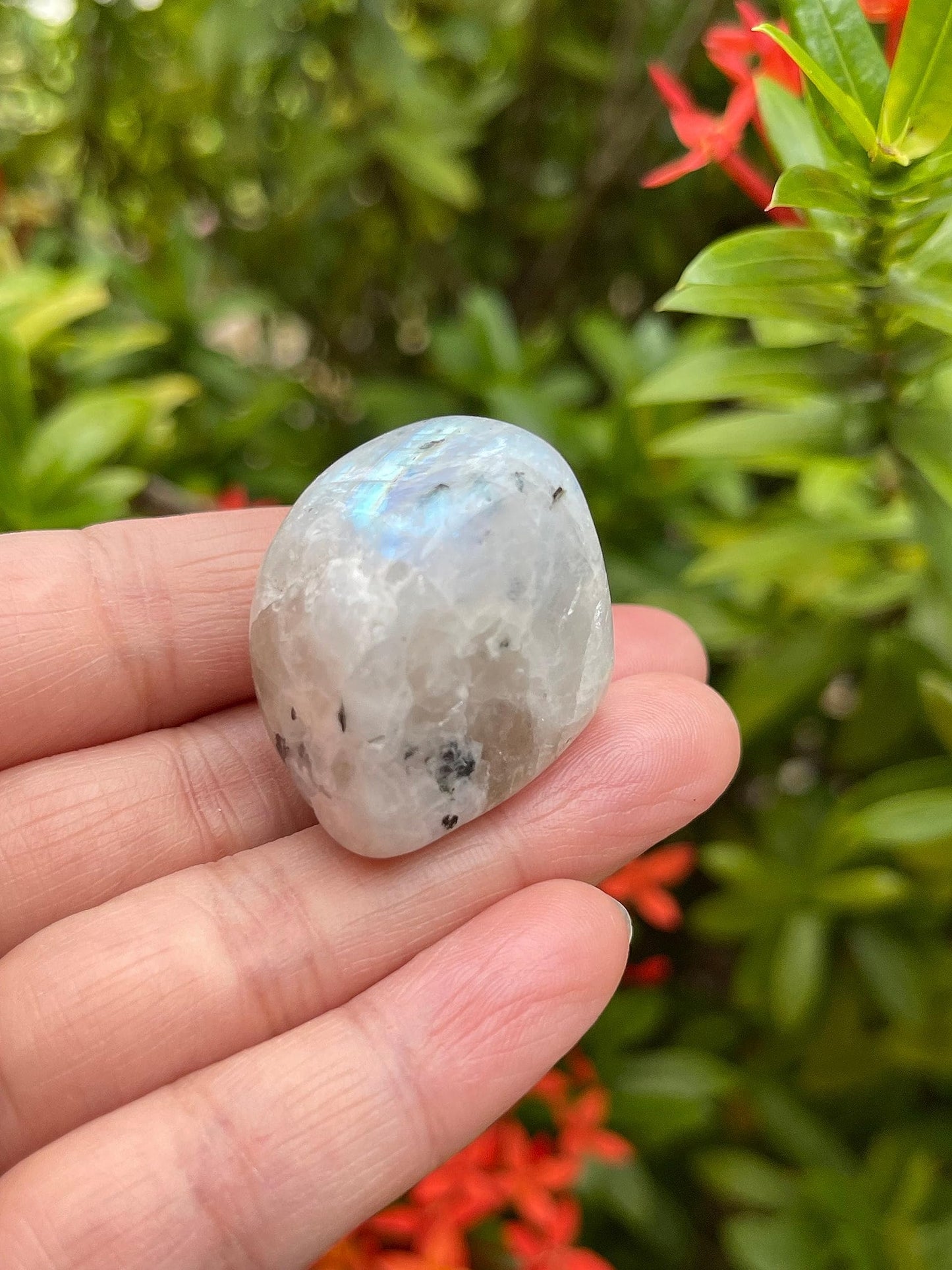 GAF TREASURES 5 Pcs Rainbow Moonstone Tumbled Stones, Polished Rainbow Moonstone Gemstone, Rainbow Moonstone Healing Crystals (Rainbow Moonstone)