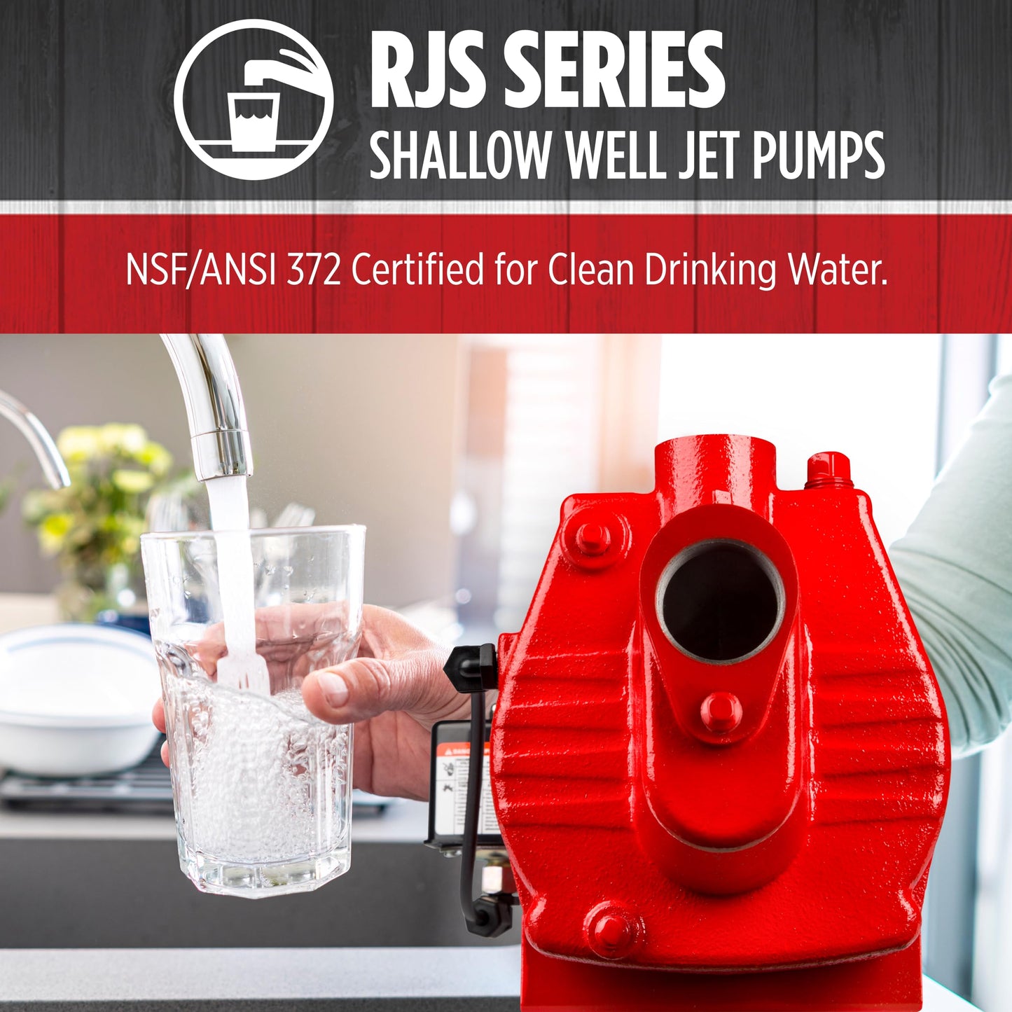 Red Lion RJS-50-PREM 1/2 HP, 12 GPM, 115/230 Volt, Premium Cast Iron Shallow Well Jet Pump, Red, 602206