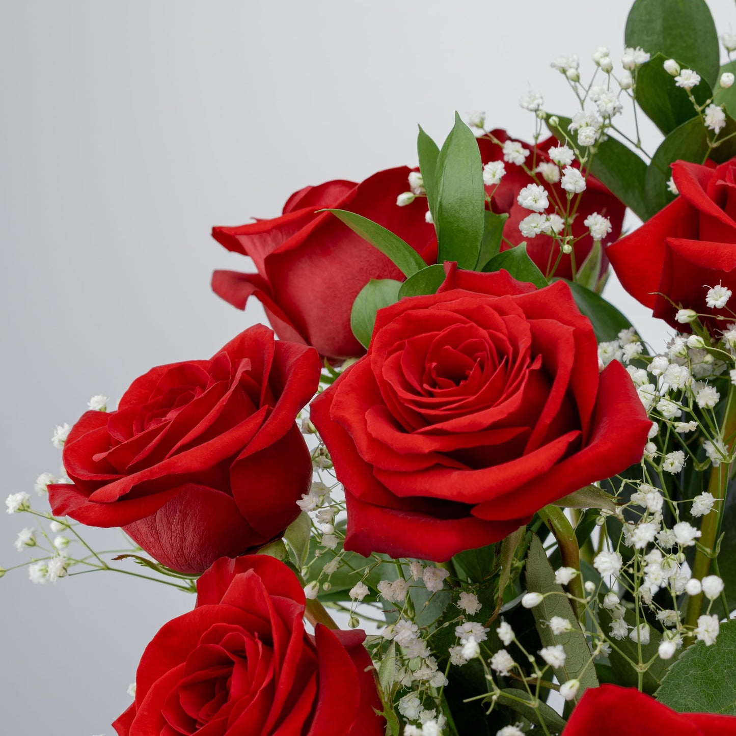 Benchmark Bouquets - 12 Stem Red Roses (Glass Vase Included) - Fresh Flowers for Next Day Delivery - Gift for Birthday, Anniversary, Get Well, Sympathy, Congratulations, Valentine's Day