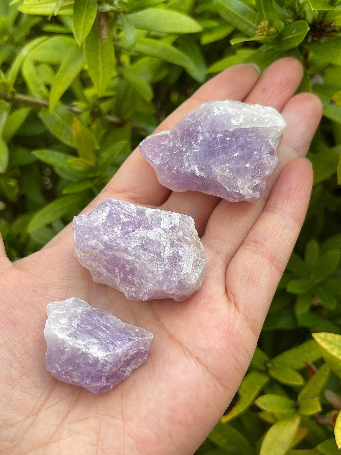 GAF TREASURES Wholesale Raw Amethyst Crystals, Natural Amethyst Stone, Natural Rough Amethyst Crystals, Amethyst Rough, Amethyst Healing Crystals (Amethyst, 0.5 Pound)