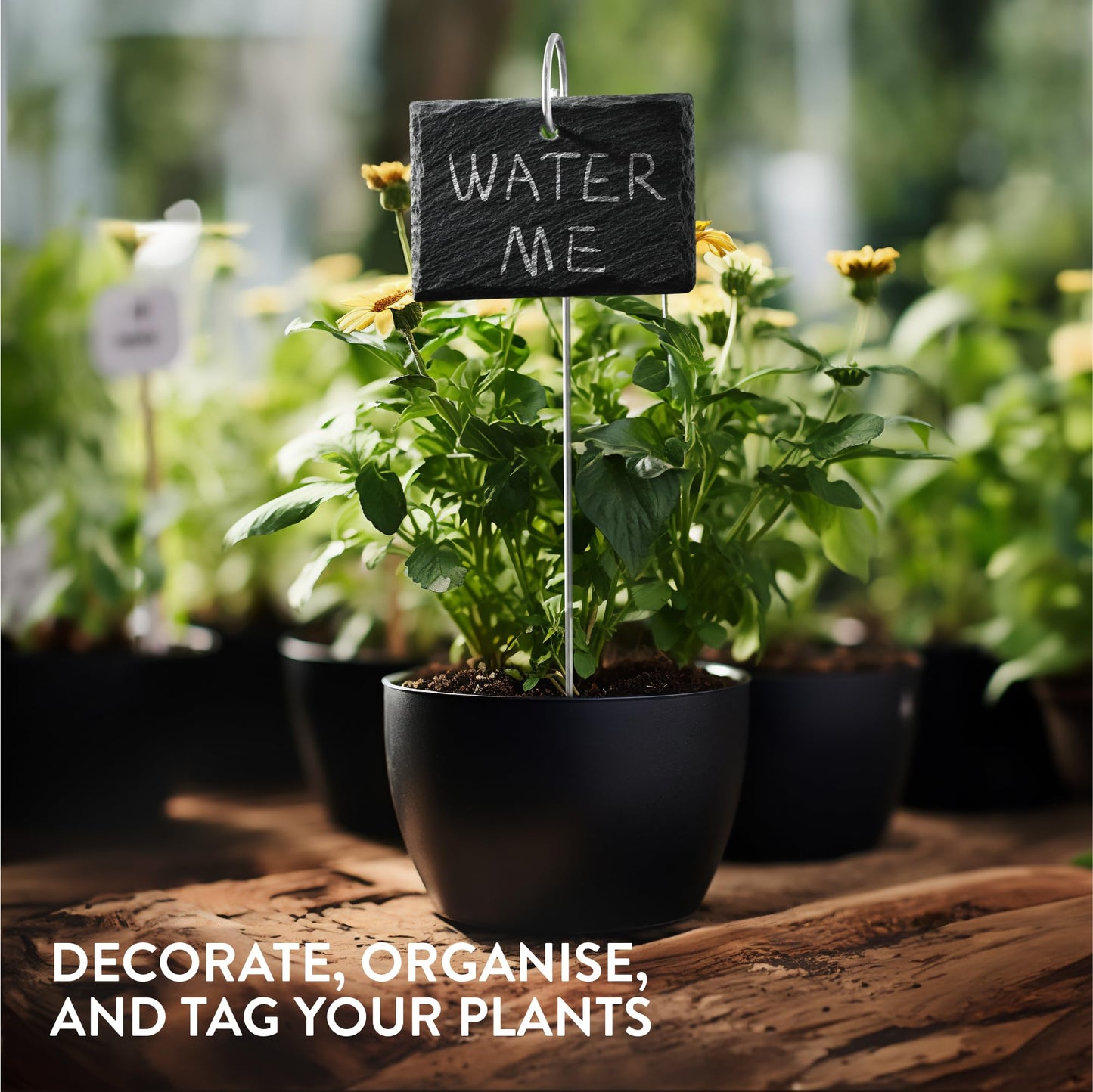 Navaris Slate Plant Labels (15 Pieces) - Garden Marker Label Signs with Stakes - Markers for Plants, Vegetables, Herb Gardens - with Chalk Pencils - Rectangular