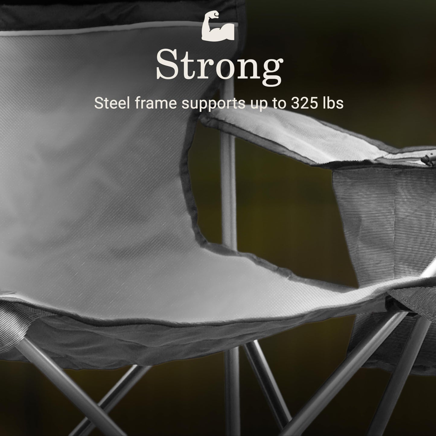 Coleman Portable Camping Chair with 4-Can Cooler, Cushioned Seat & Back with Side Pockets & Cup Holder, Carry Bag Included, Great for Camping, Tailgating, Firepits, Patio, & More