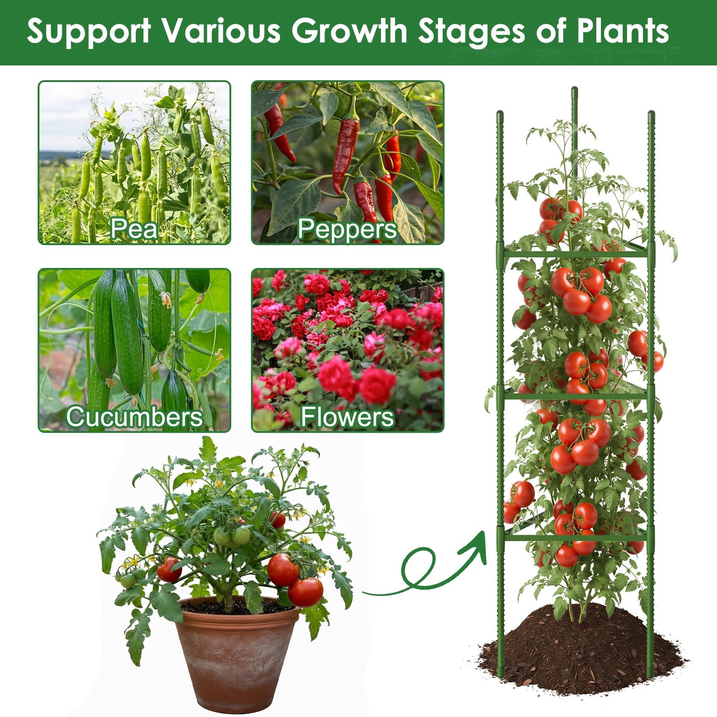 CEWOR Tomato Cage - 6 Pack Tomato Cages for Garden, 51.2inch Tall Tomato Trellis Triangle Stakes for Climbing Plants Outdoor, Plant Support Cages Structure for Pots, Raised Garden Bed, Vegetables
