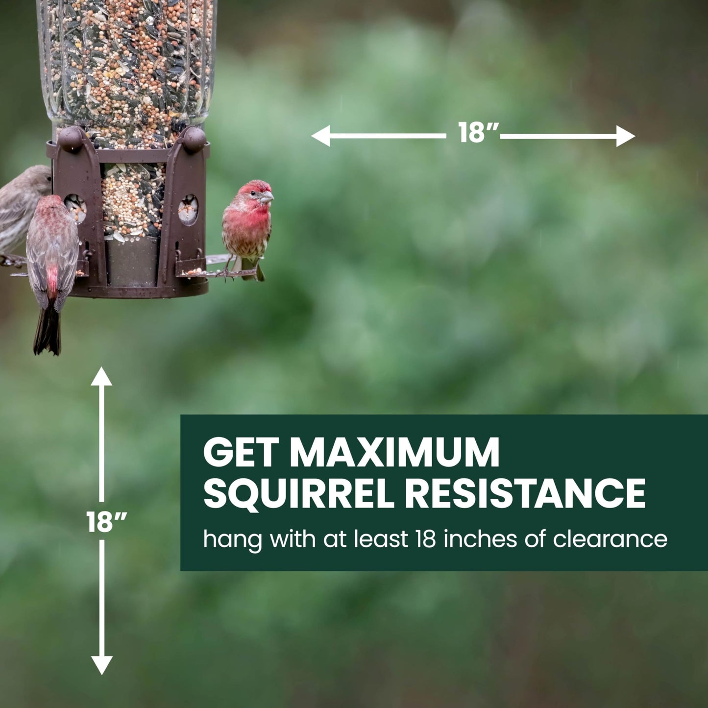 Perky-Pet 334-1SR Squirrel-Be-Gone Max Large Wild Bird Feeder with Flexports, Squirrel Proof Bird Feeder with Weight-Activated Perches - 4LB Seed Capacity