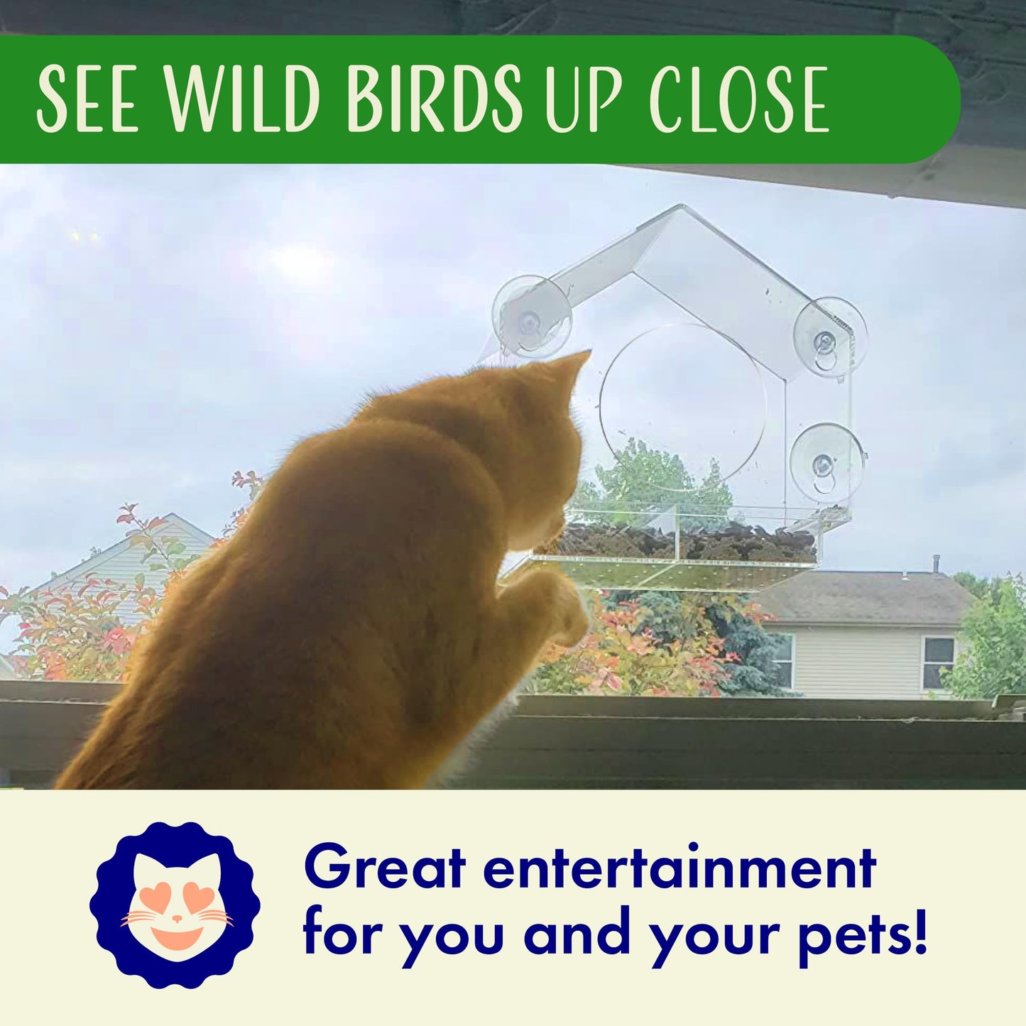 Clear Bird Feeders for Window Viewing Inside - Window Bird House Feeder with Suction Cups - Balcony Birdhouse Feeder with Tray - Easy to Use for Wildlife Lovers, Birding, Kids, Cat, & Elderly