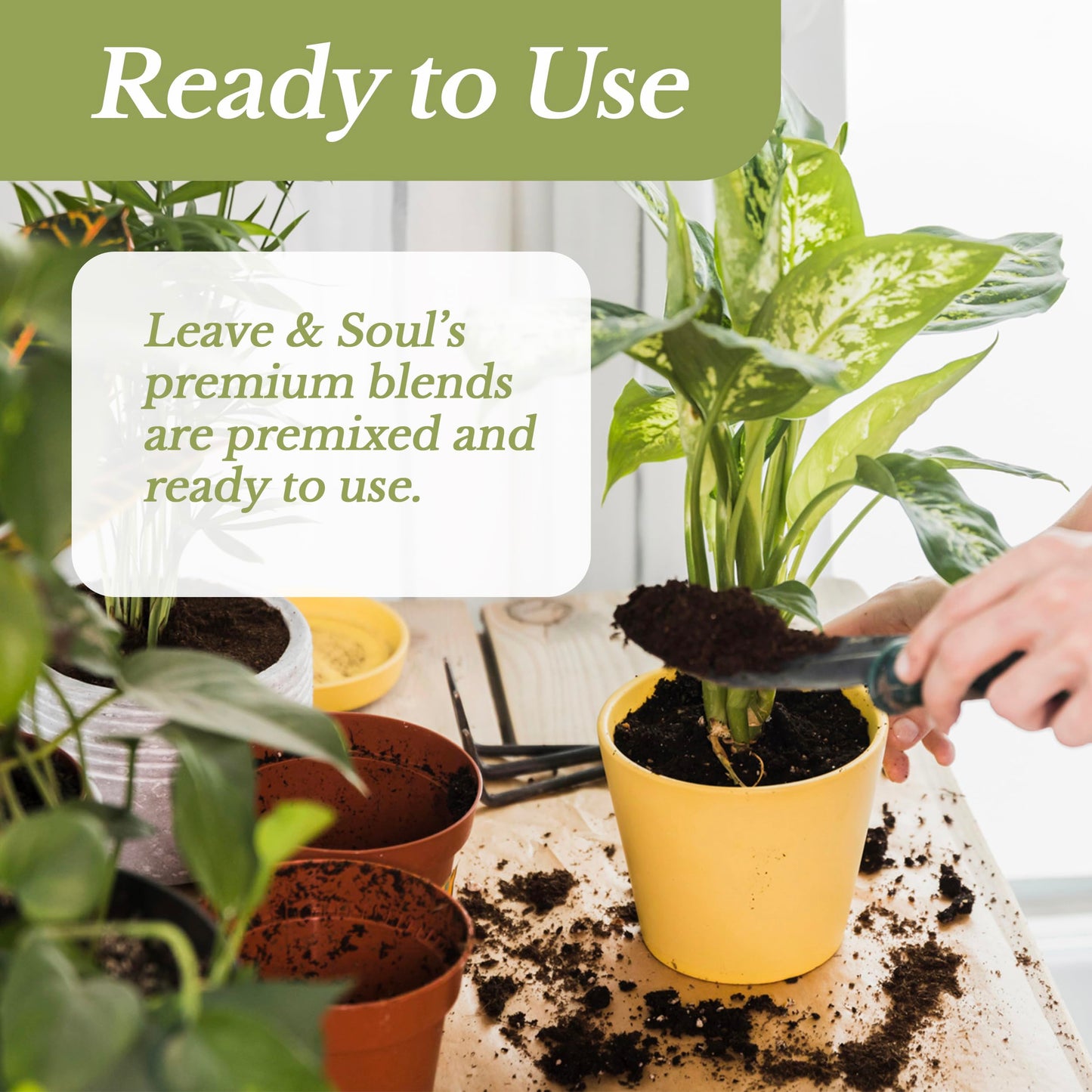 Professional Bonsai Soil Mix Ready to Use | Large 2.2 Quarts, Premium Potting Soil for Bonsai Trees, Fast Draining Blend Lava Limestone Pearock Calcined Clay Pinebark Indoor Outdoor | Made in USA