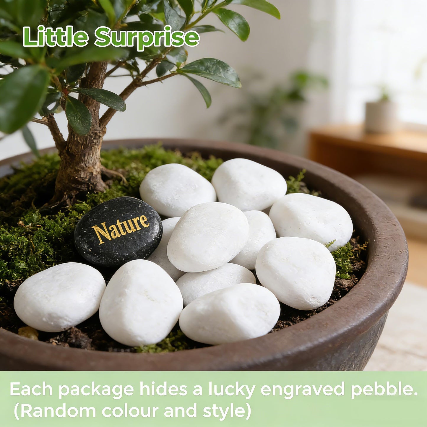 SIDONG 5 lbs White River Rocks, 1.2-2 Inches Pebbles for Indoor Plants, Aquarium Rocks Used in Fish Tank, Decorative Stones for Plants, Vases, Home Décor, Crafting, Garden Landscaping