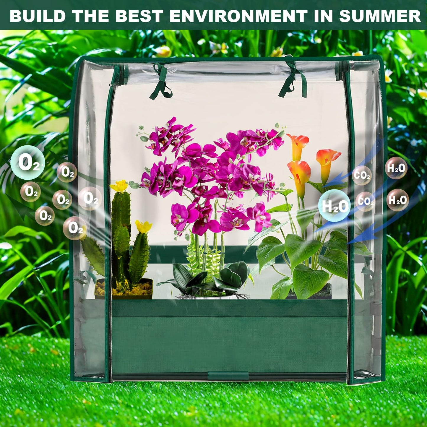 Purlyu Mini Tabletop Garden Greenhouse Nursery Plant Cover Tent Humidity Domes for Indoor and Outdoor Home Gardening Germination and Seedling Propagation - 28x20x28 Inches(PLGH7050PD)