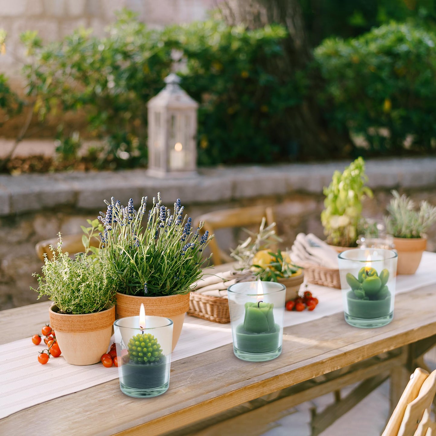 12 Pcs Decorative Succulent Cactus Tealight Candle Set - Handmade Mini Glass Holders, Decorative Votive Candles for House-Warming Party Wedding Baby-Shower and Home Decoration Gifts