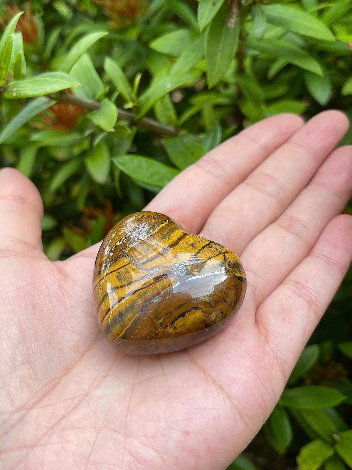 Tiger Eye Gemstone Hearts, Polished Tiger Eye Puffy Hearts, Tiger Eye Crystal Palm Stone, Tiger Eye Healing Crystal Hearts (1 Heart)