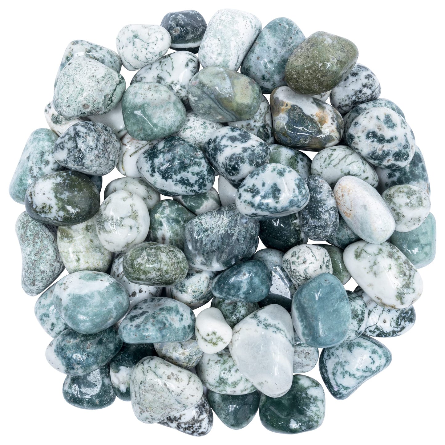 Crocon 1lb Tree Agate Tumble Stones Stones Set Pocket Crystal Healing Gemstones Balancing Tumble Collection Palm Stone Meditation Good Luck Charm Gift Craft Home Decor Size: 20-25 mm 1 LB