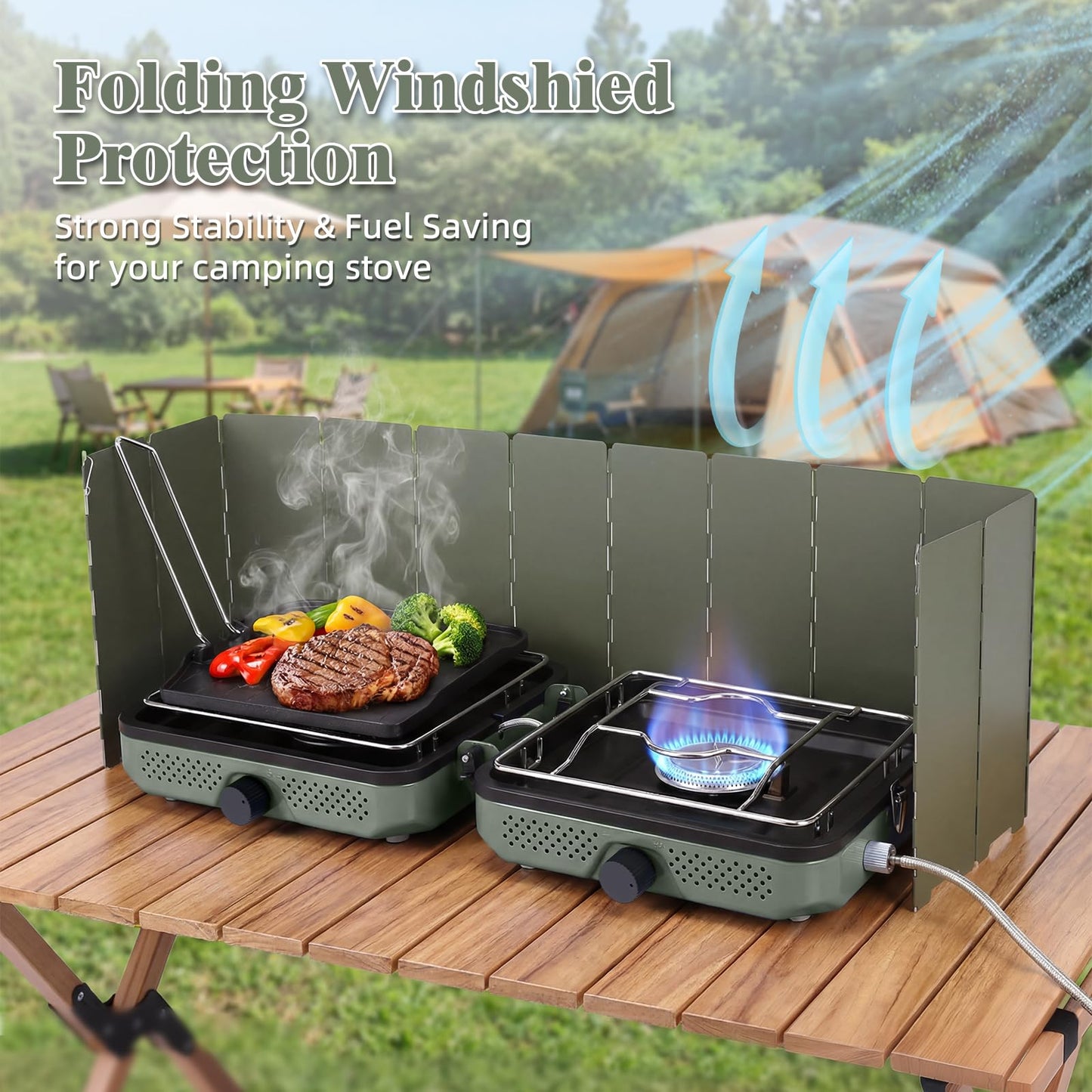 Hisencn Camping Stove,2 Burner Propane Camping Stove with Windscreen,30,000 BTU Portable Propane Stove with Carry Bag,Outdoor Cooking Stove set for Camping Gear,RV Essentials,Camp Gifts for Man,Green