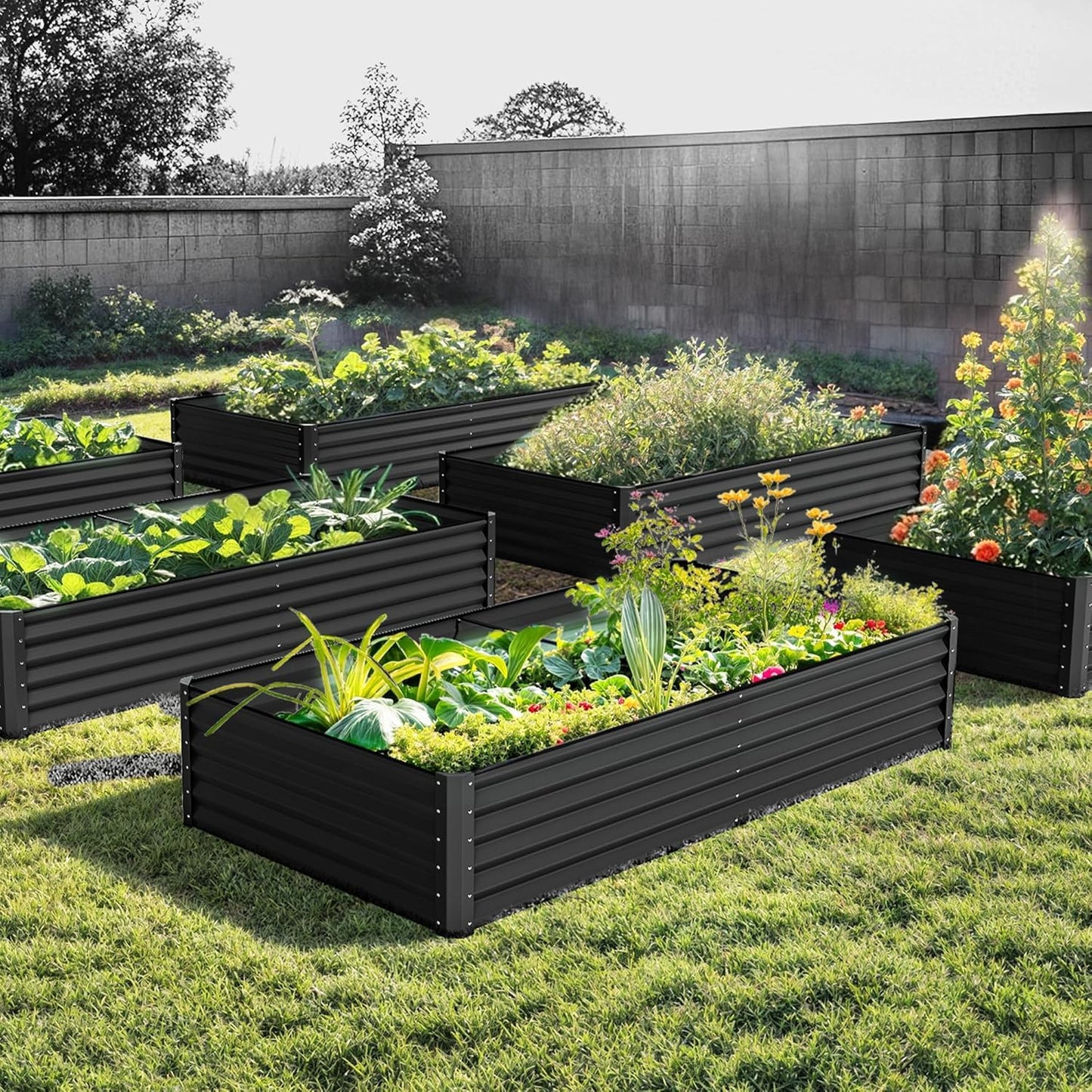 DWVO 6 x 3 x 1.5 FT Raised Garden Bed Kit, Outdoor Galvanized Flower Bed with Gloves, Large Metal Planter Box for Vegetables, Flowers, Herbs, Fruits, Black