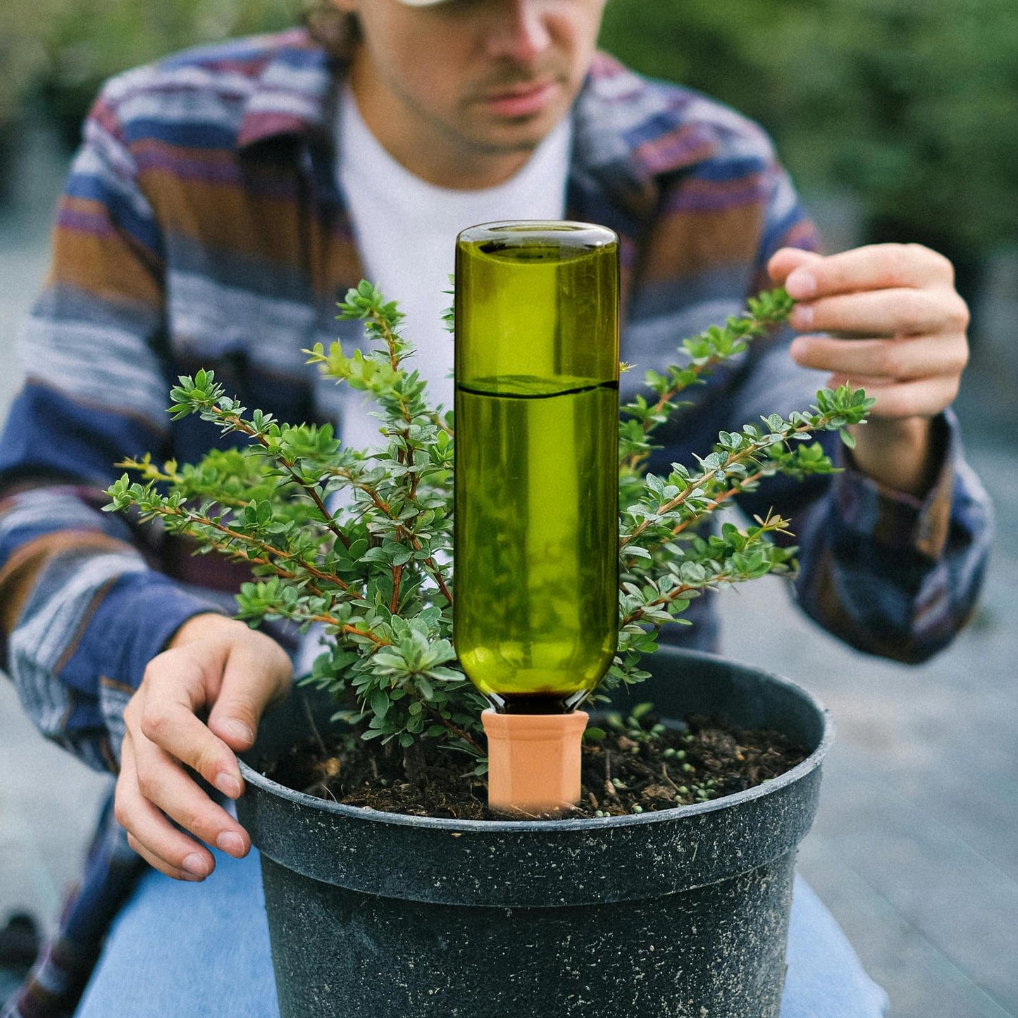 TINSKY 6 Sets Plant Watering Devices Terracotta Self Watering Spikes and 26 Oz Plastic Green Bottles Slow Release Vacation Plant Waterer Automatic Planter Insert for Indoor Outdoor Plants
