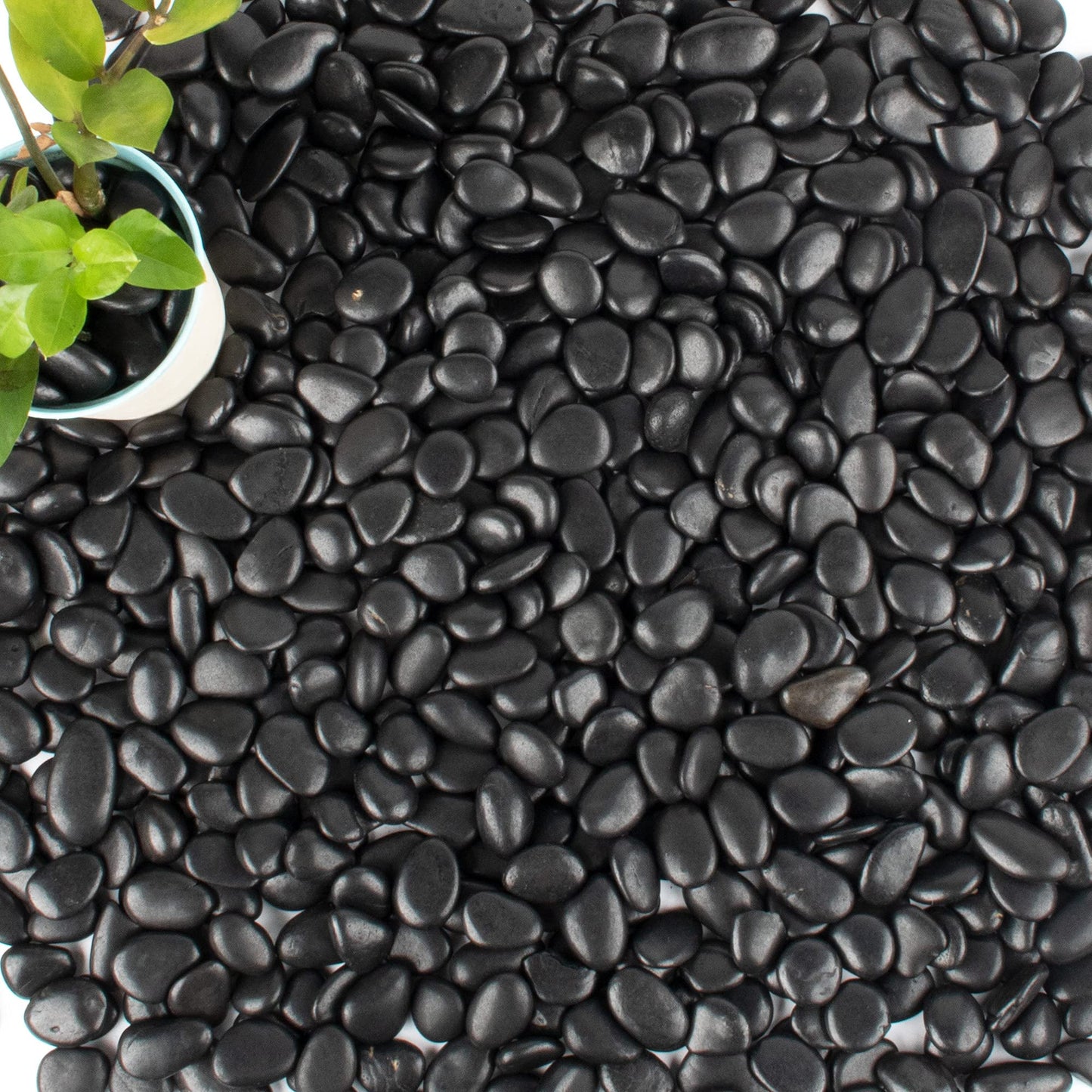 18 lb Natural Polished Black River Rock for Plants, 1/2" Black Pebbles for Aquarium, Vase, Garden Landscape Rocks and Outdoor Decorative Stones