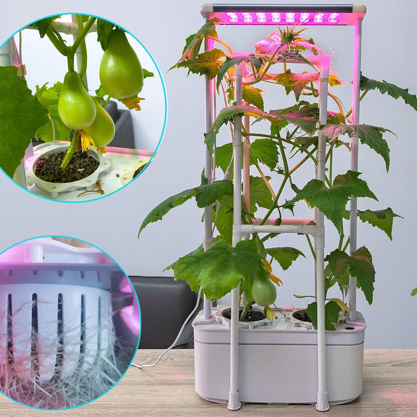 E SUPEREGROW Hydroponics Growing System kit with Trellis,Smart Hydroponic Gardening System with LED Grow Light, Indoor Hydroponic Garden Herb Grow Kit for Short Tomato,Pepper,Cucumber (6200LC)