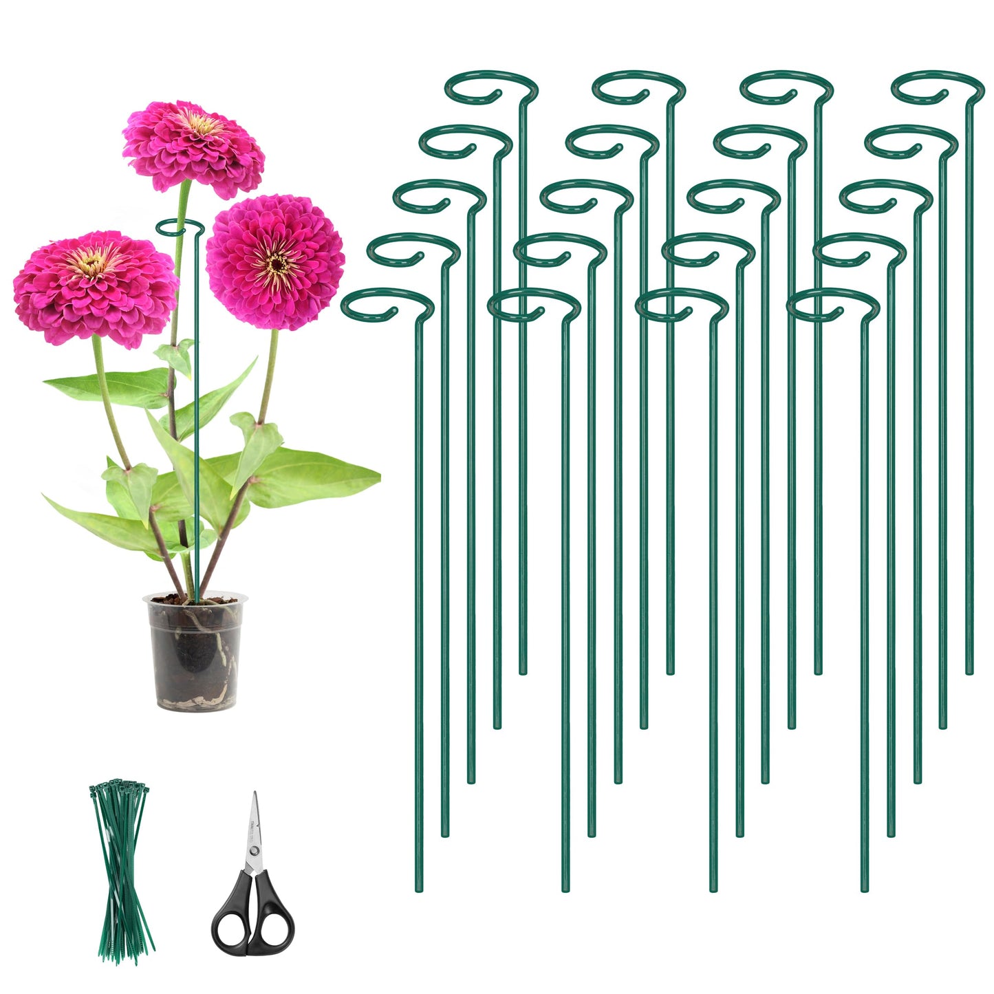 Kingsyard 36 Inch Plant Support Stake - 20 Pack, 4.5mm Thick All Metal Garden Plant Stakes Plant Prop for Single Stem Flowers Dahlia Lily Rose Peony Hydrangea Tomatoes Sunflower Gladiolus