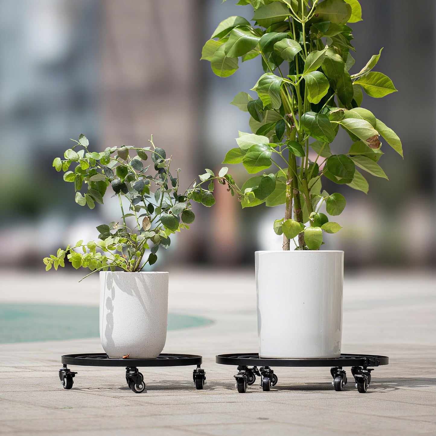 Goooxim 16" Heavy Duty Plant Dolly with Wheels Rolling Planter Base for Indoor/Outdoor Use | Patented Detachable Handle 360° Rotating Polyurethane Wheels Max Load 200 lbs for Large Pots & Planters