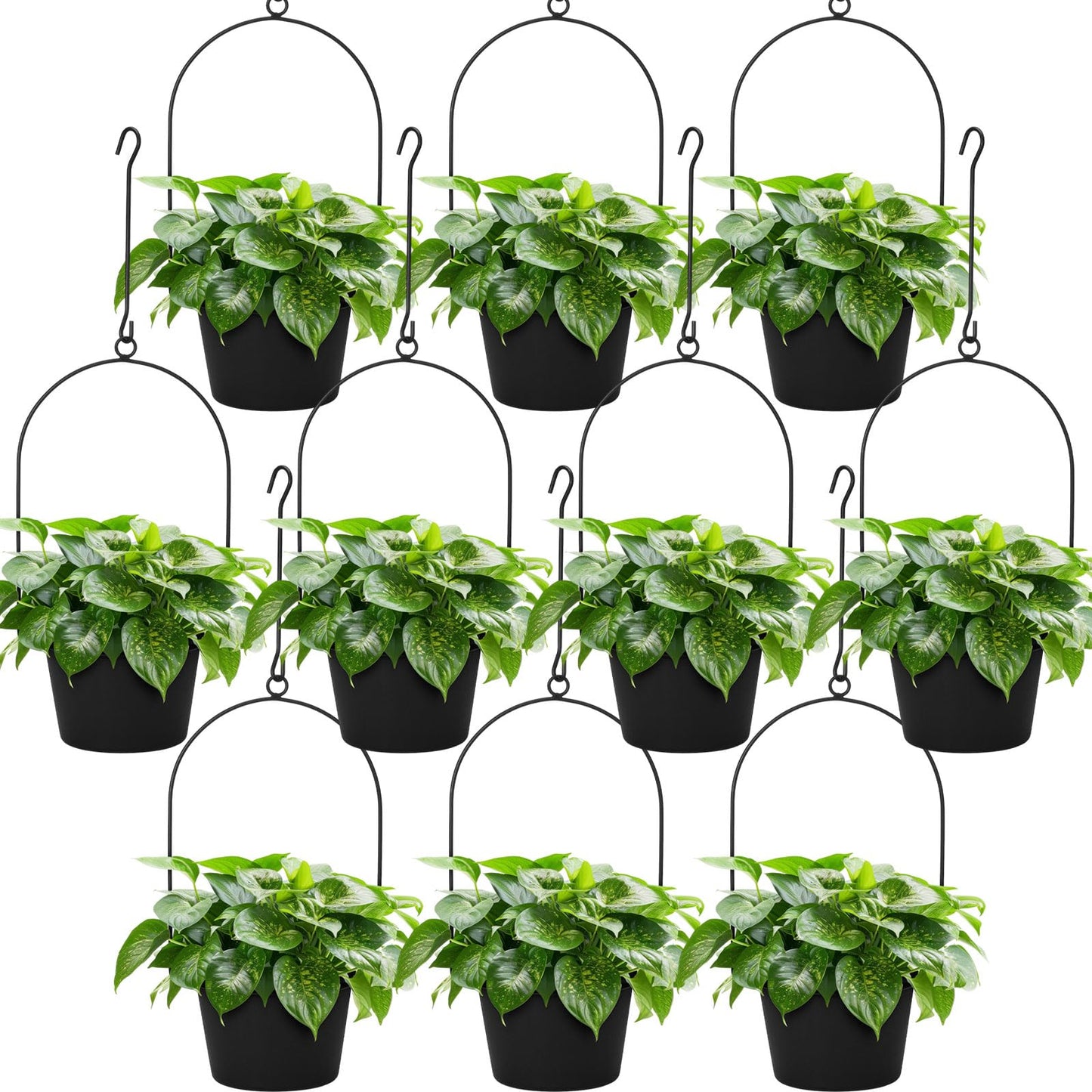 Hushee 10 Packs Metal Hanging Planters for Outdoor Indoor Plants Plant Hanger with 6.3'' Plastic Pots Hanging Planter Basket for Garden Home Porch Decor (Black)