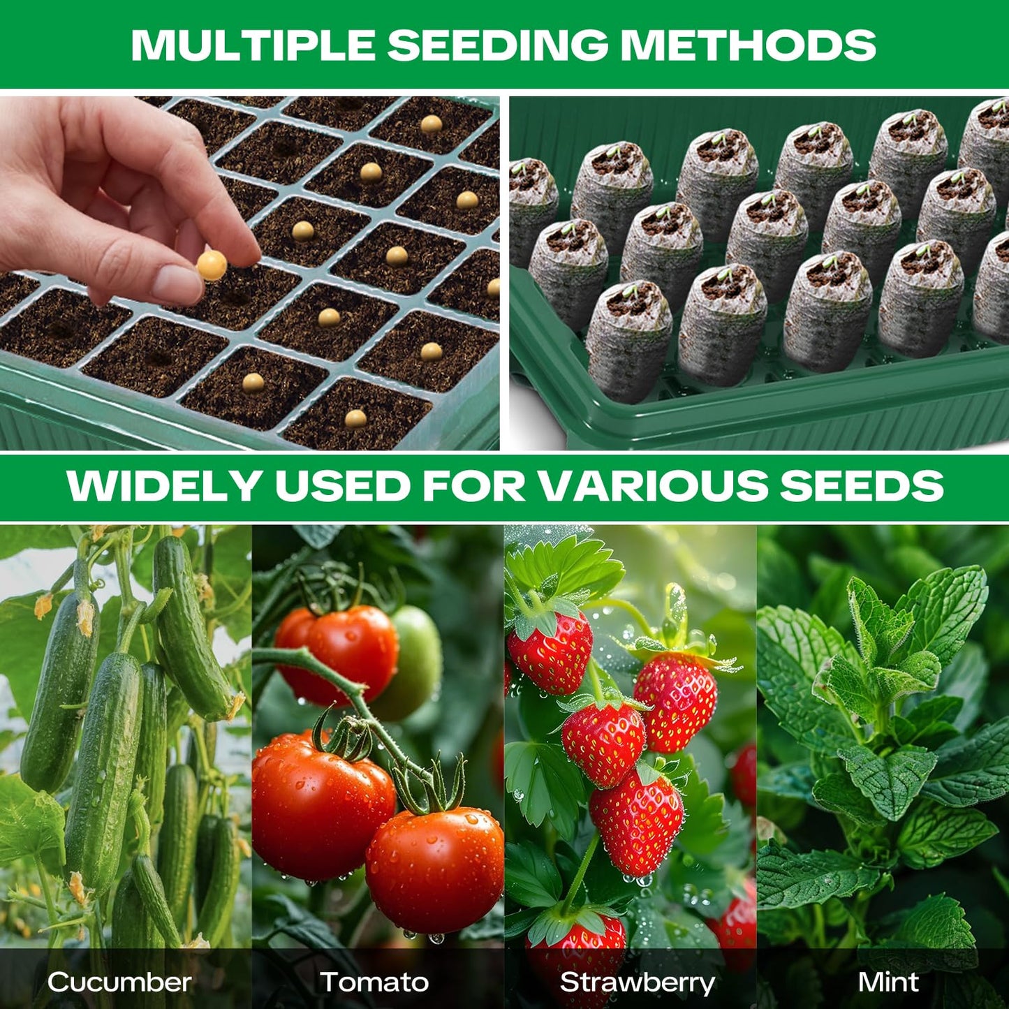 Qmioti Seed Starter Tray with Grow Light & Heating Mat, Digital Temperature Control, 40-Cell Seed Starter Kit with Humidity Dome, Reusable Seed Starter for Indoor Planting Seeds