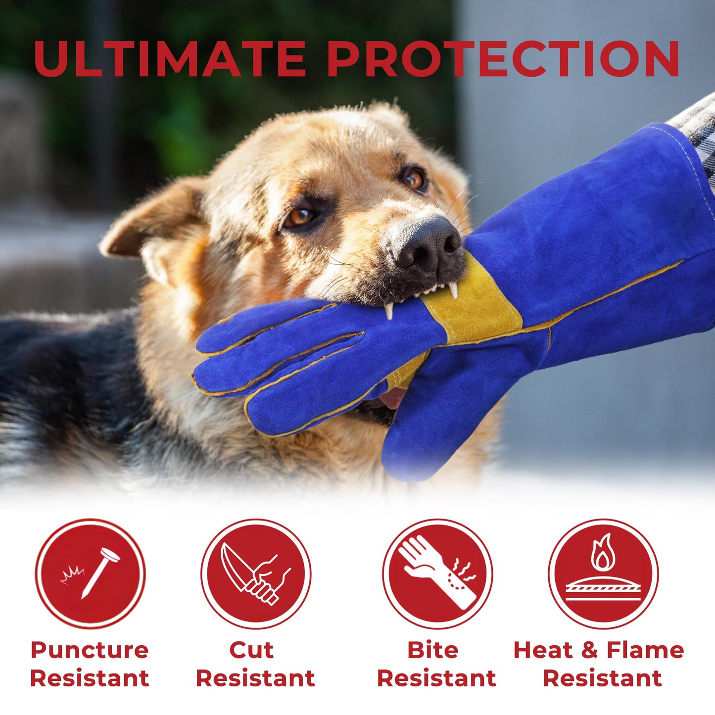 HANDLANDY Animal Handling Gloves, 14 Inches Bite-Proof, Scratch-Resistant, Pet Gloves for Dogs, Cats, Falconry, Gardening (Blue)
