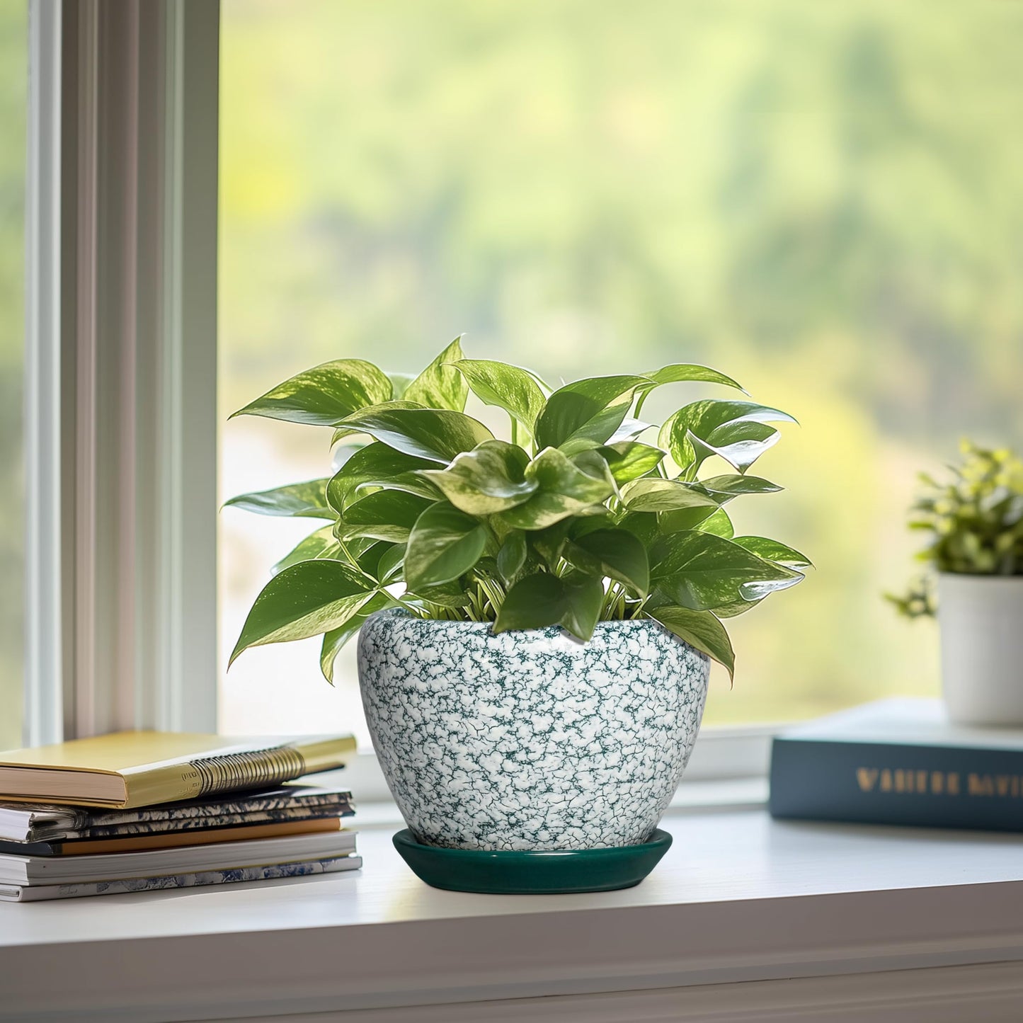 Thirtypot Ceramic Plant Pot - 6 Inch Planters for Indoor Plants, Round Succulent Pots with Drainage Hole and Saucer, Modern Decorative Plant Pots, Bathroom Decor, House Warming Gifts, Crackle Green