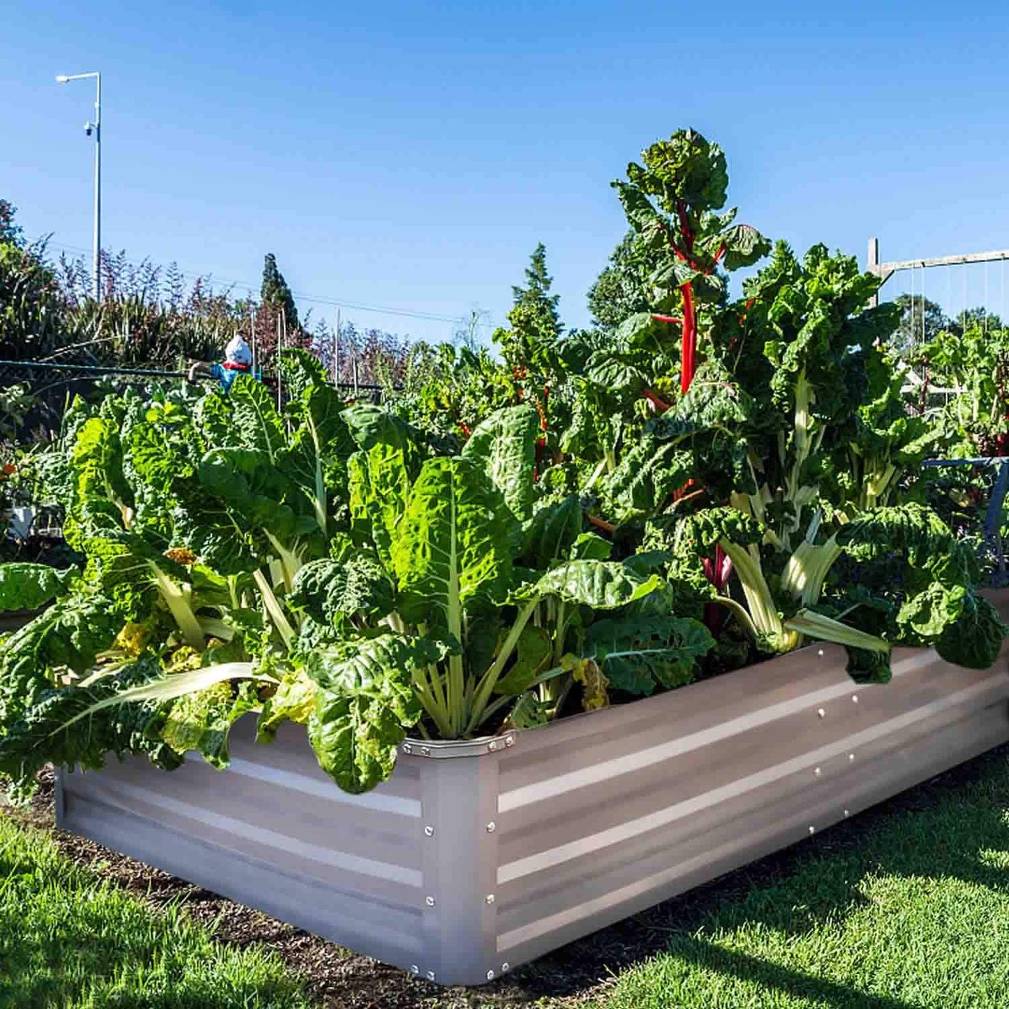 FOYUEE Galvanized Raised Garden Beds for Vegetables Metal Planter Boxes Outdoor Large Patio Bed Kit Planting Herb 5x3x1ft