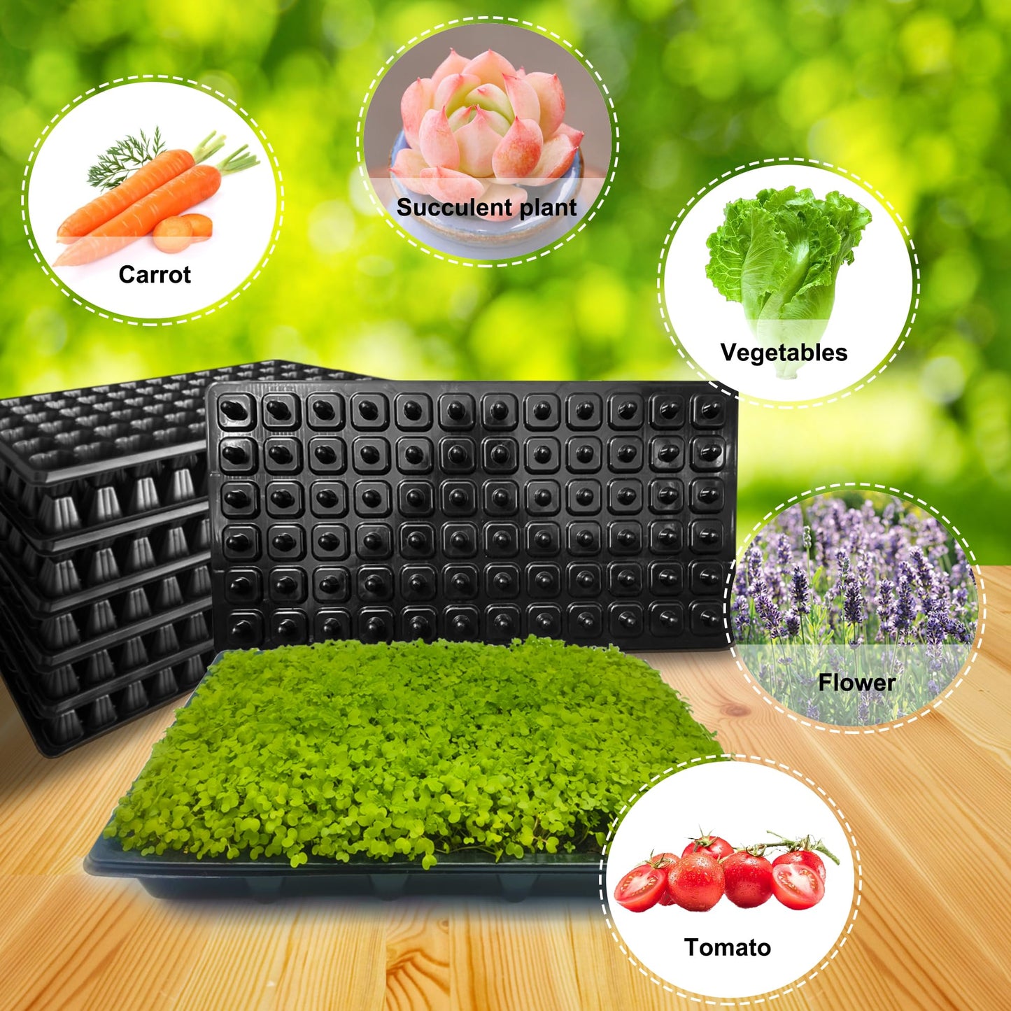 LARNORJE 72 Cell Seed Starter Trays with Dibber – 20 Pack Reusable Seedling Trays for Germination Propagation, 72 Hole Soil Digger for Quickly Setting Out, Gift for Gardener.