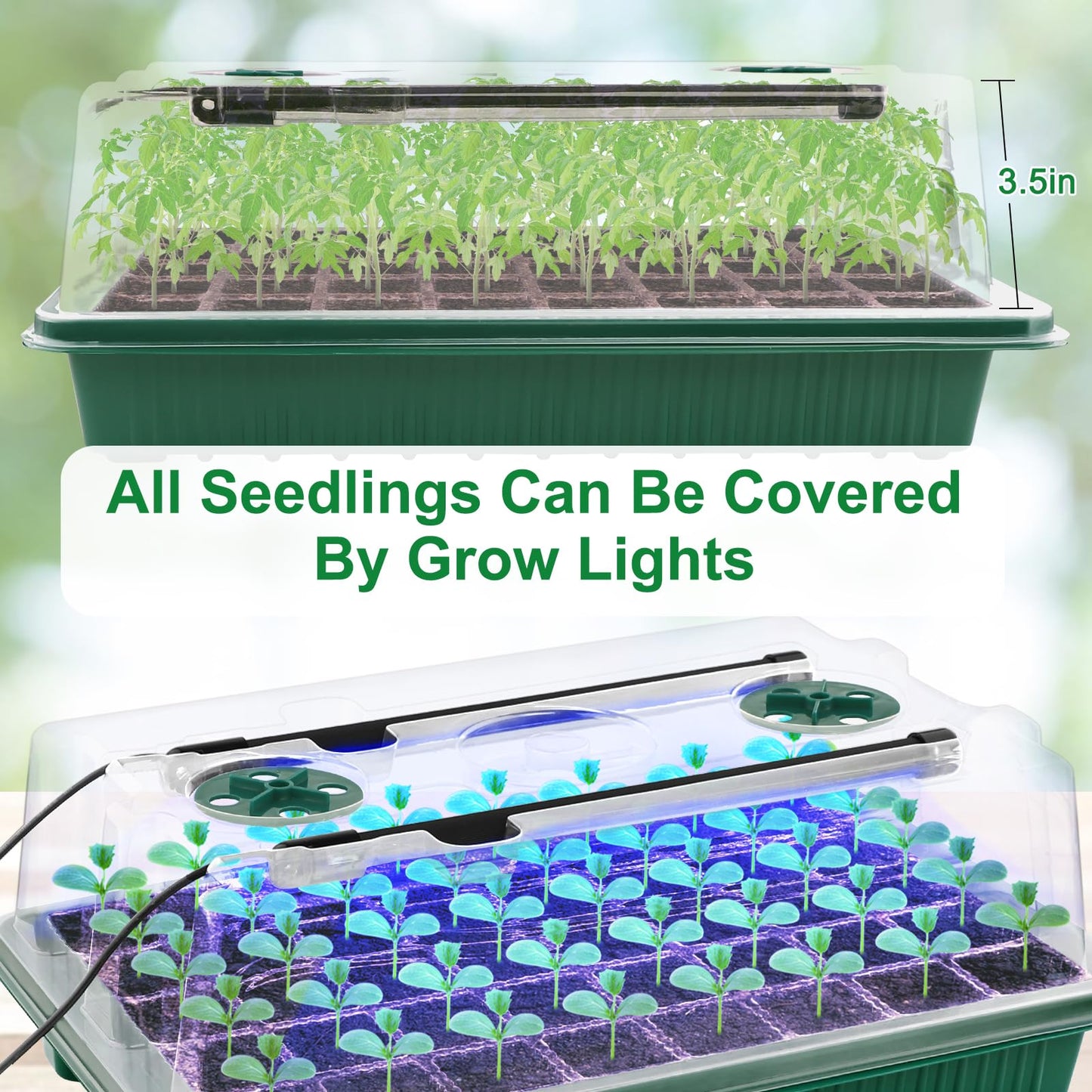 NEWKITS 2 Packs Starter Tray with Grow Light, 80 Cells Seed Starter Kits with Humidity Dome and Base Plant Germination Seedling Starter Kit with Smart Timer for Indoor Greenhouse Wheatgrass Hydroponic