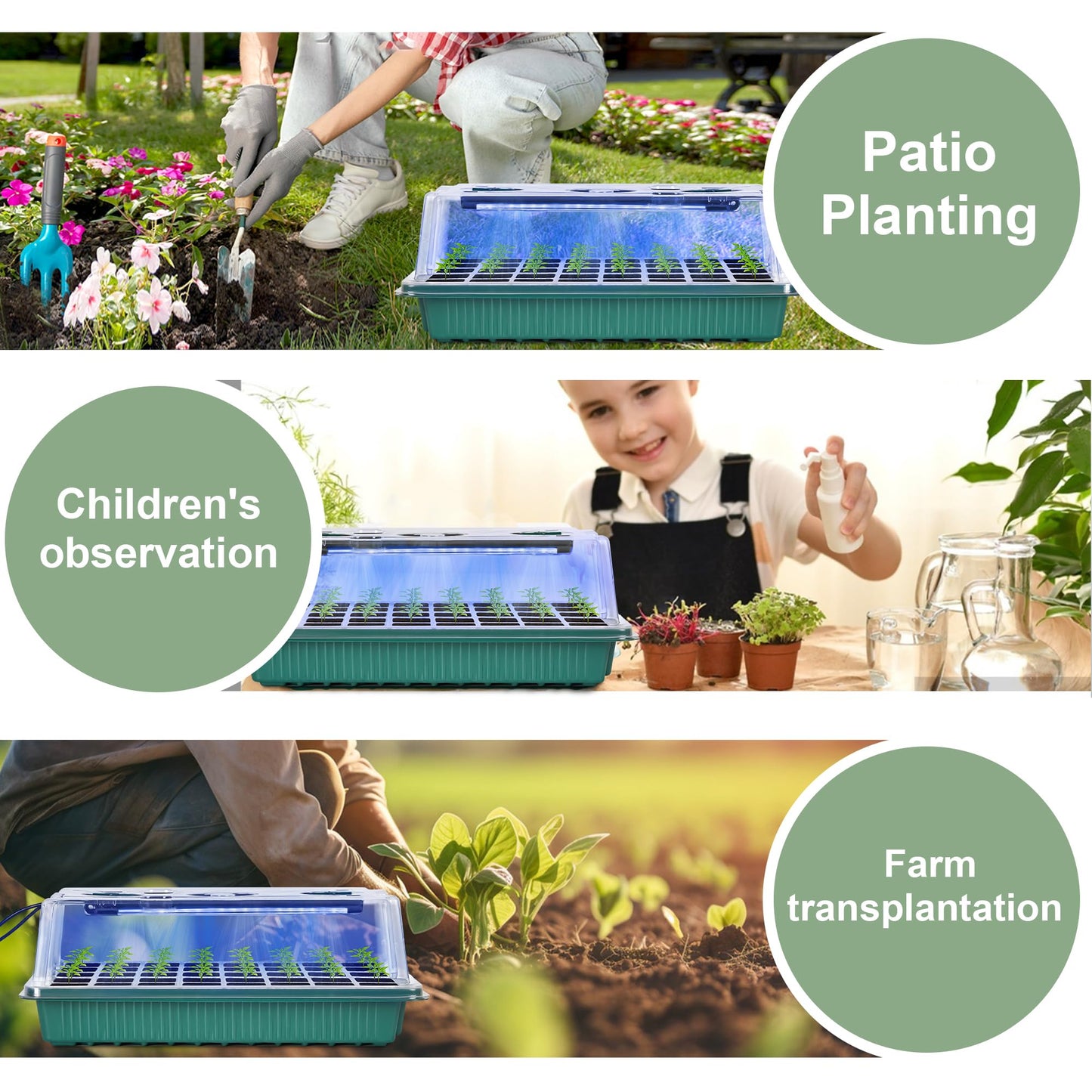NEWKITS 2 Packs Starter Tray with Grow Light, 80 Cells Seed Starter Kits with Humidity Dome and Base Plant Germination Seedling Starter Kit with Smart Timer for Indoor Greenhouse Wheatgrass Hydroponic