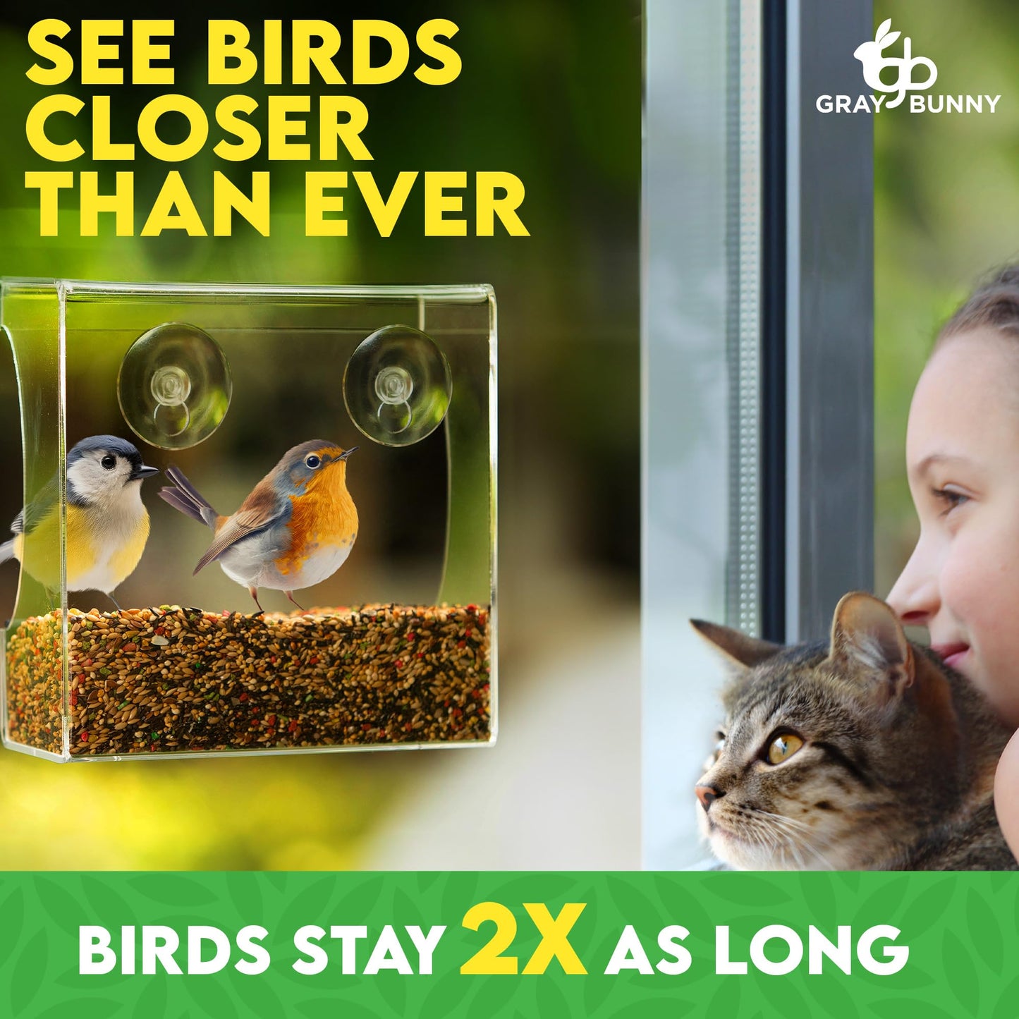 Clear Window Bird Feeder - Premium Bird Feeder for Outdoors with Strong Suction Cups with Drain Holes and Large Seed Capacity