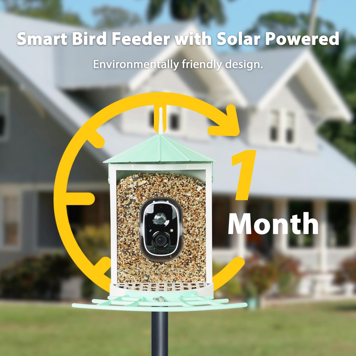 Birdkiss Smart Bird Feeder with Camera Solar, Auto Capture Bird Videos & Motion Detection, Birds Watching Camera Notify in Time, Metal Birds Feeder with Seed Guard, Ideal Present for Mom (Green)