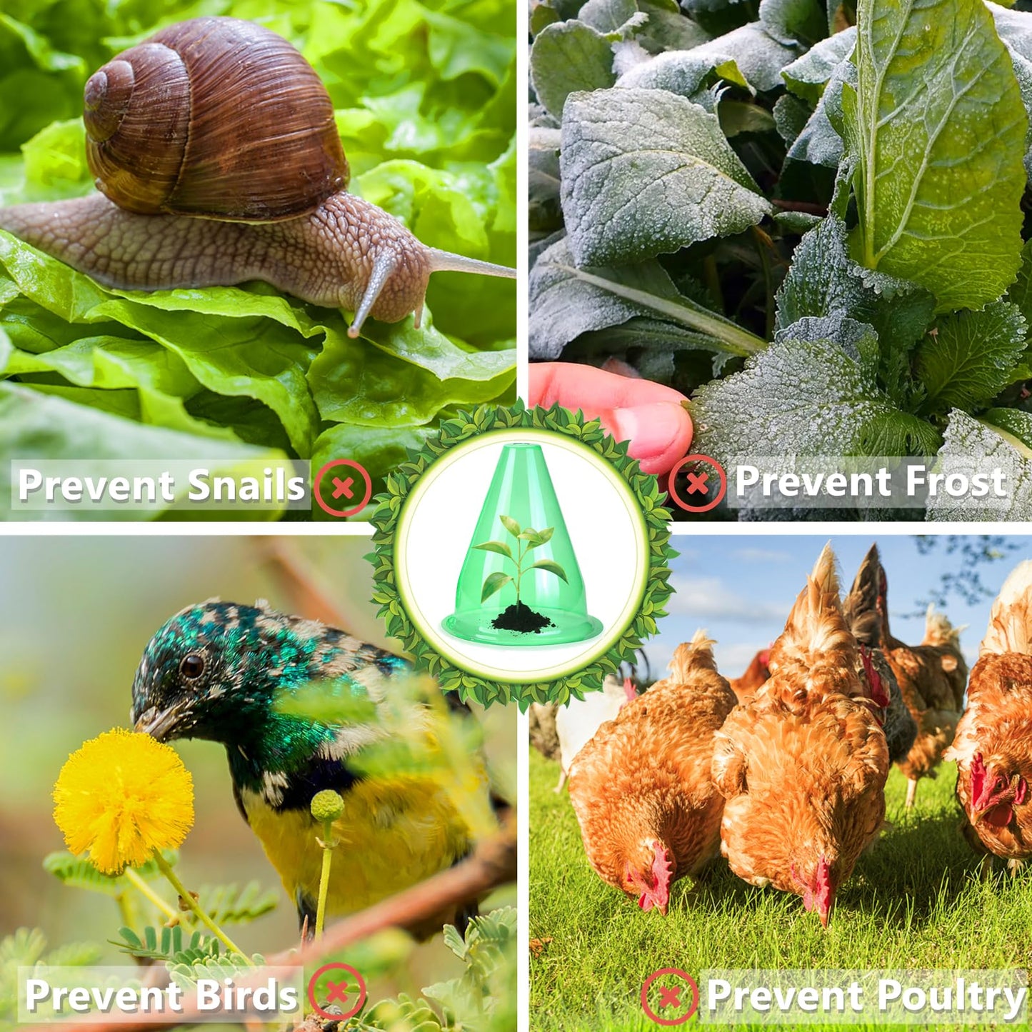 【24 Pieces】 Garden Cloches for Plants, Multifunctional Plant Cover Plant Protectors Transparent Bell Jar Cloches Protection Plants from Birds, Slugs, Frost, Freeze Weather, 7.8" D x 9.4" H, Green