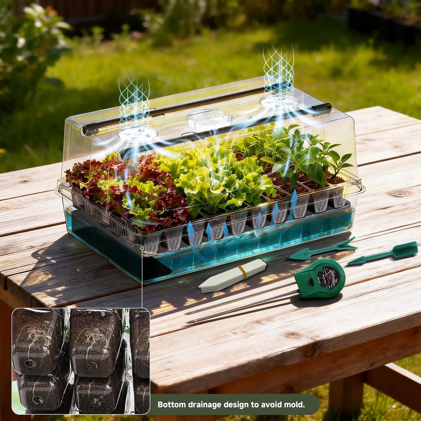 Adawook Self-Watering Seed Starter Tray with Grow Lights, 60 Cells Seed Starter Kit, Full Spectrum Grow Light for Seed Starting, Timing Set, Germination Tray Grow Kits with High Humidity Domes