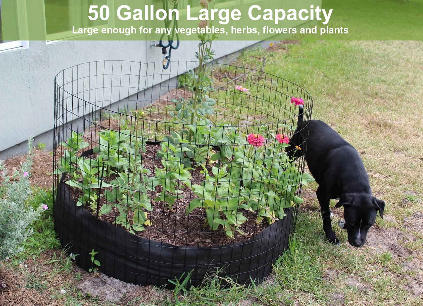 Raised Garden Bed, 2-Pack 50 Gallon Round Fabric Garden Grow Bags - Heavy Duty Breathable Fabric Planter Containers for Gardening Vegetables, Herbs, and Plants - Outdoor