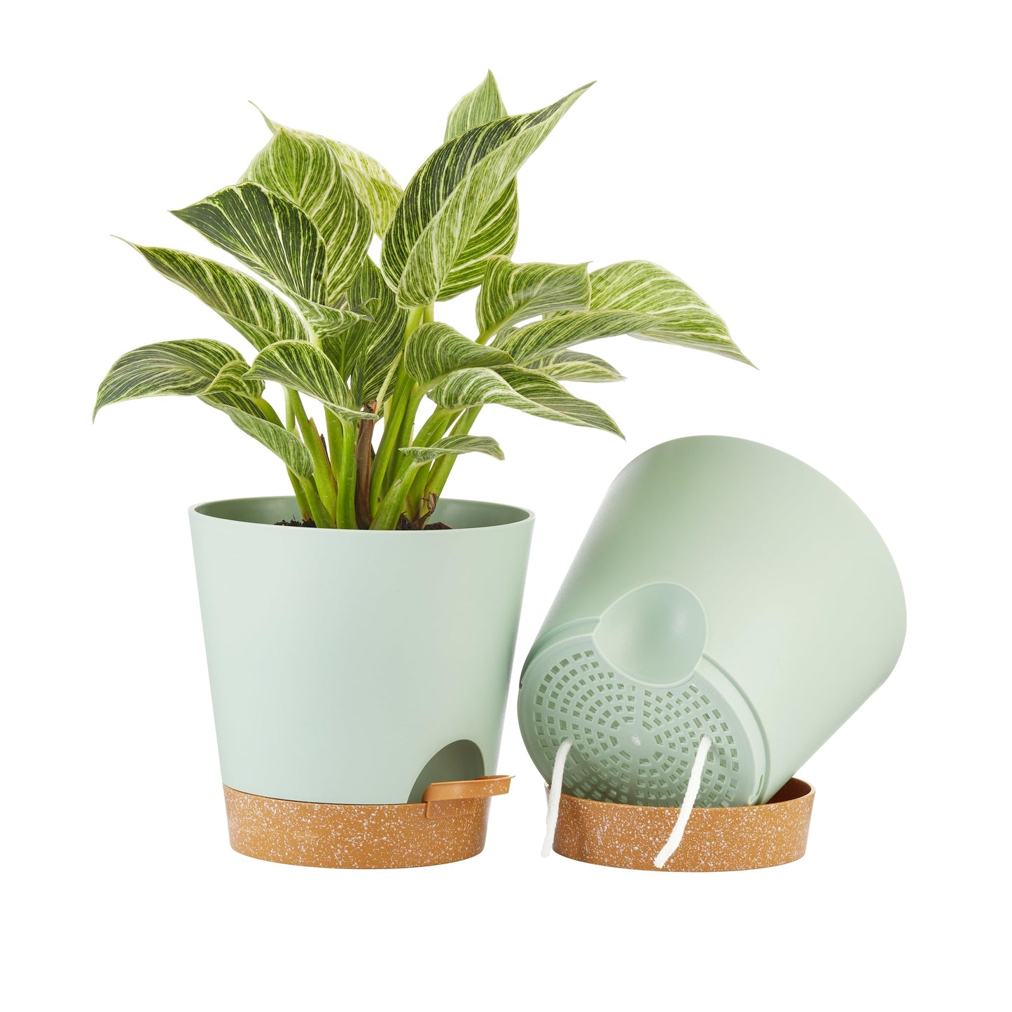 FaithLand 2-Pack 8 Inch Planter Pots for Indoor Outdoor Plants, Self Watering Flower Pots with Deep Reservoir, Green with Terracotta …
