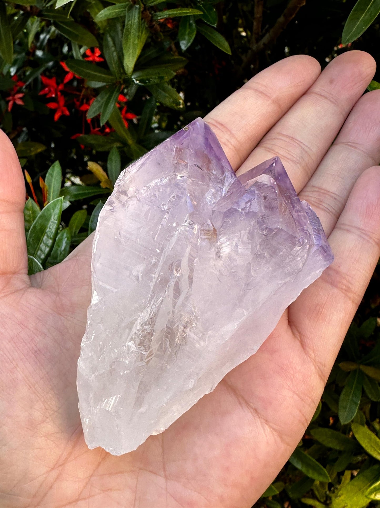 GAF TREASURES XL Raw Amethyst Point 3-4"- Natural Amethyst Healing Stone for Meditation, Energy Work & Home Decor (0.5-1 lb)